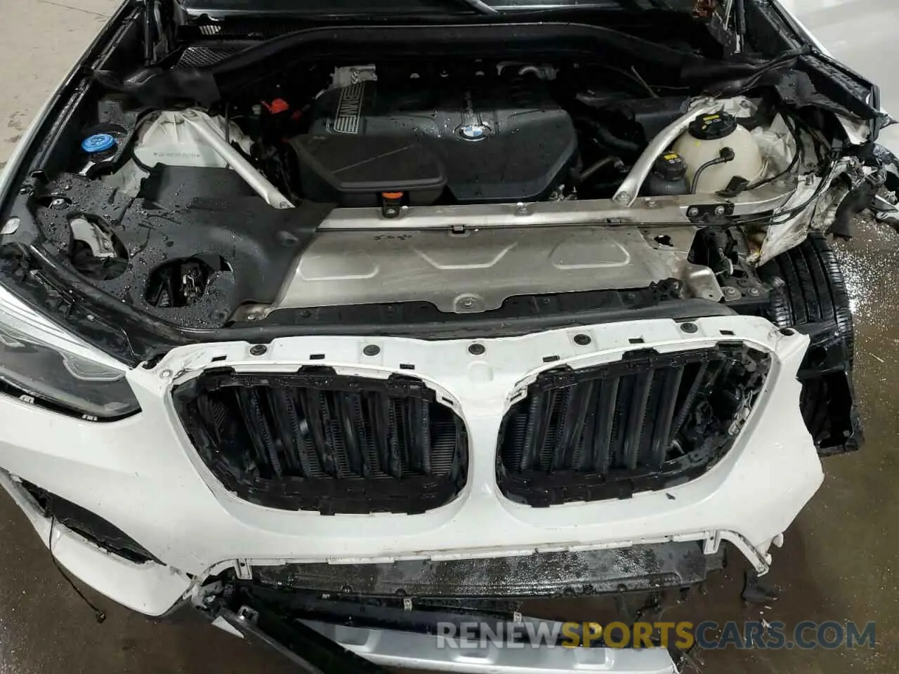 12 Photograph of a damaged car 5UXTR9C59KLD90260 BMW X3 2019