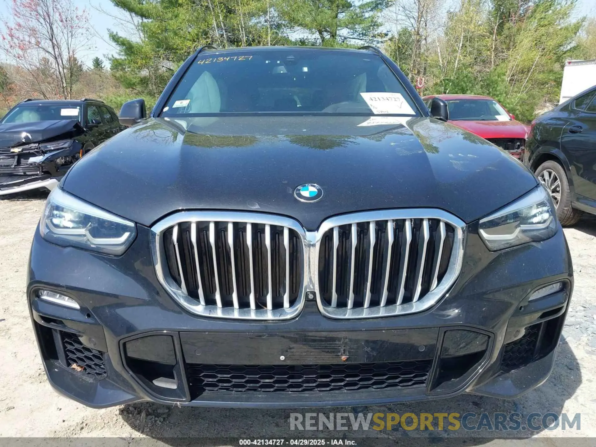 12 Photograph of a damaged car 5UXCR6C52KLL39565 BMW X5 2019