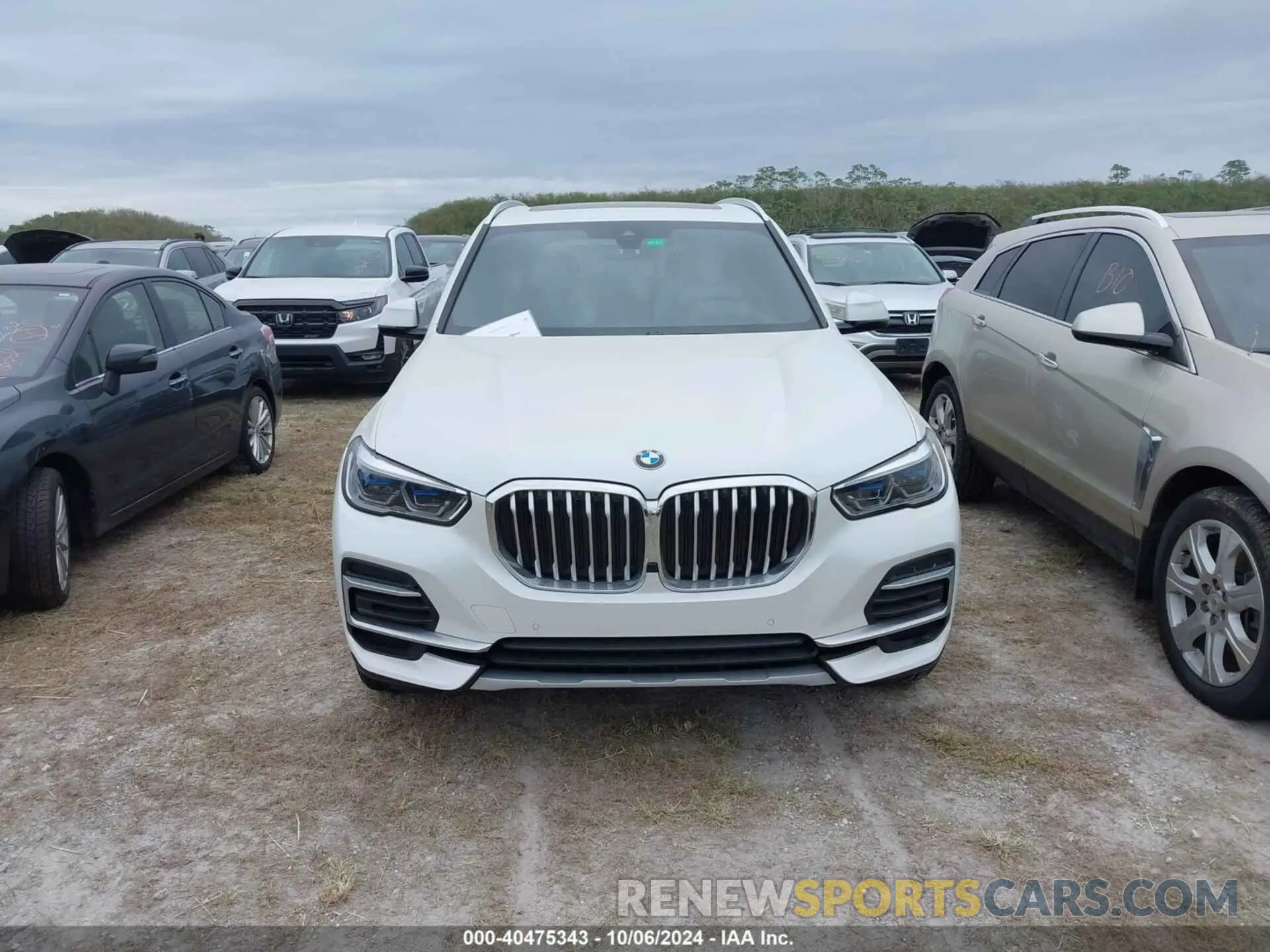 12 Photograph of a damaged car 5UXCR6C05P9P63105 BMW X5 2023