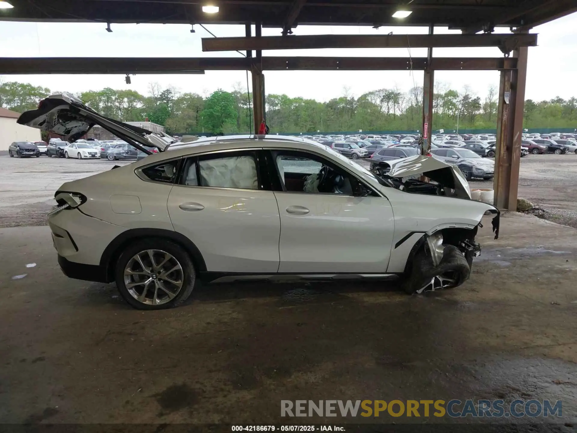 12 Photograph of a damaged car 5UXCY6C09P9N62584 BMW X6 2023