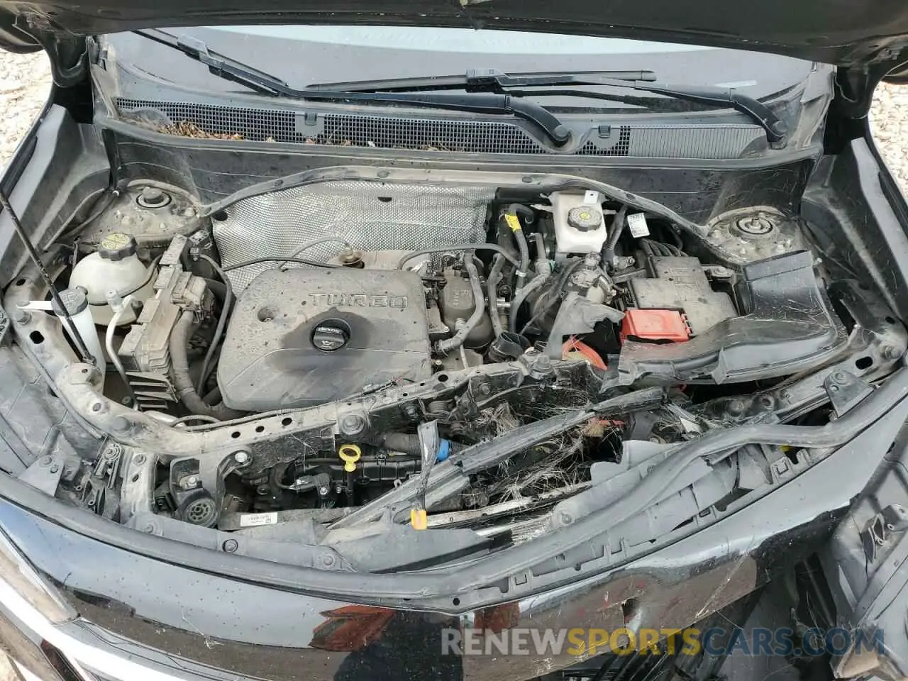 13 Photograph of a damaged car KL4MMCSL5NB054494 BUICK ENCORE 2022