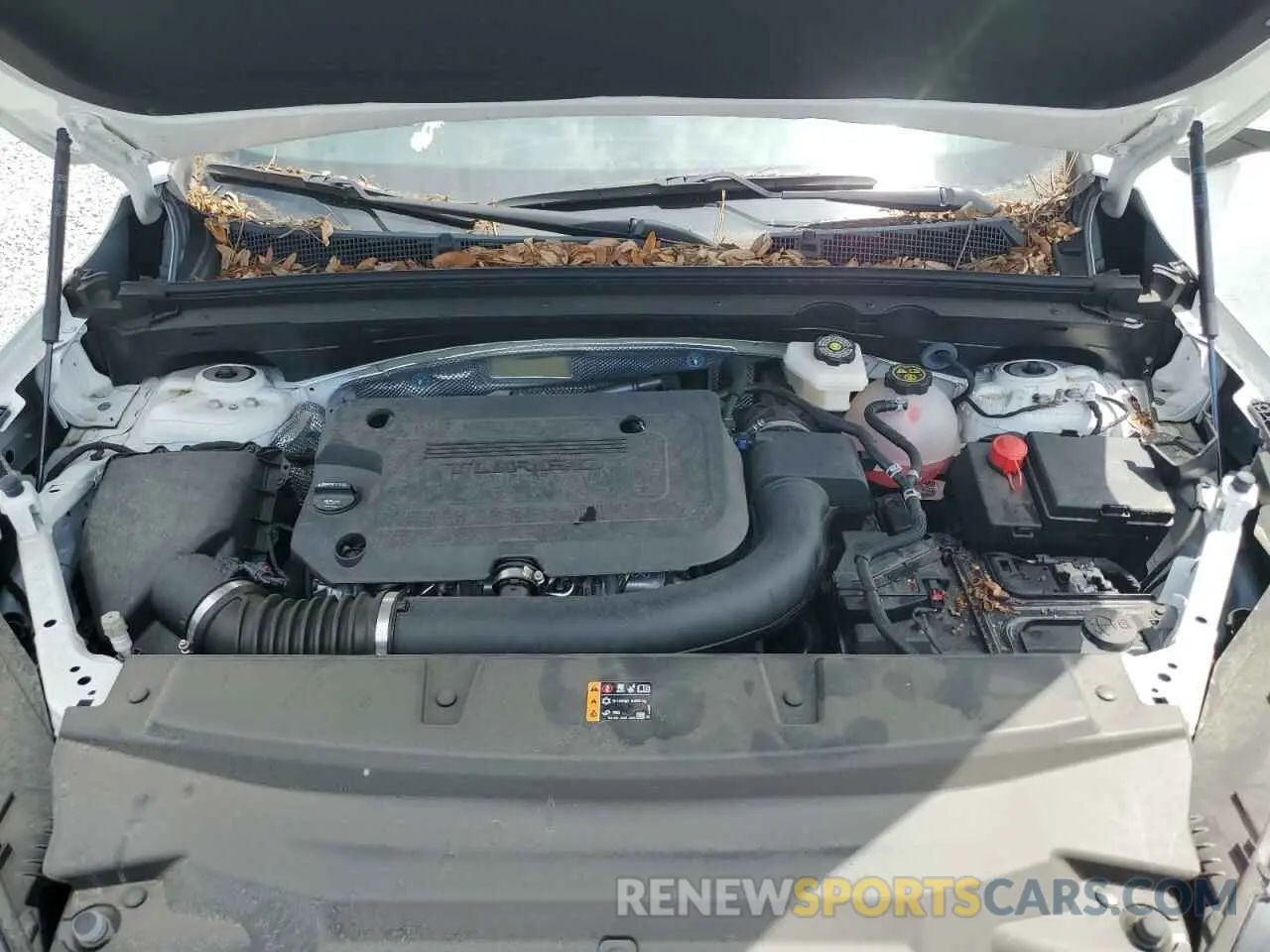 12 Photograph of a damaged car LRBFZME47RD015649 BUICK ENVISION 2024