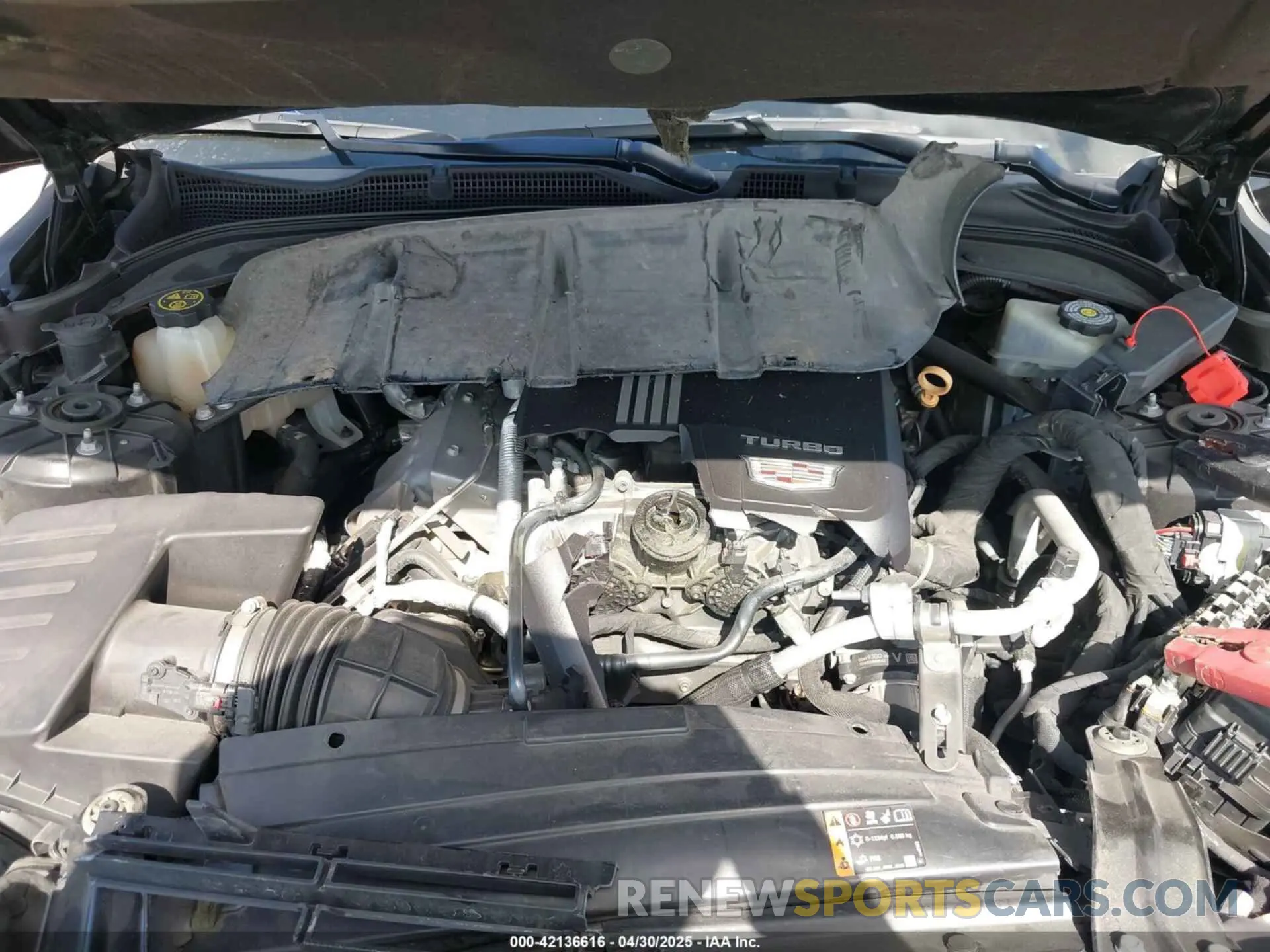 10 Photograph of a damaged car 1G6DB5RK1L0153166 CADILLAC CT4 2020