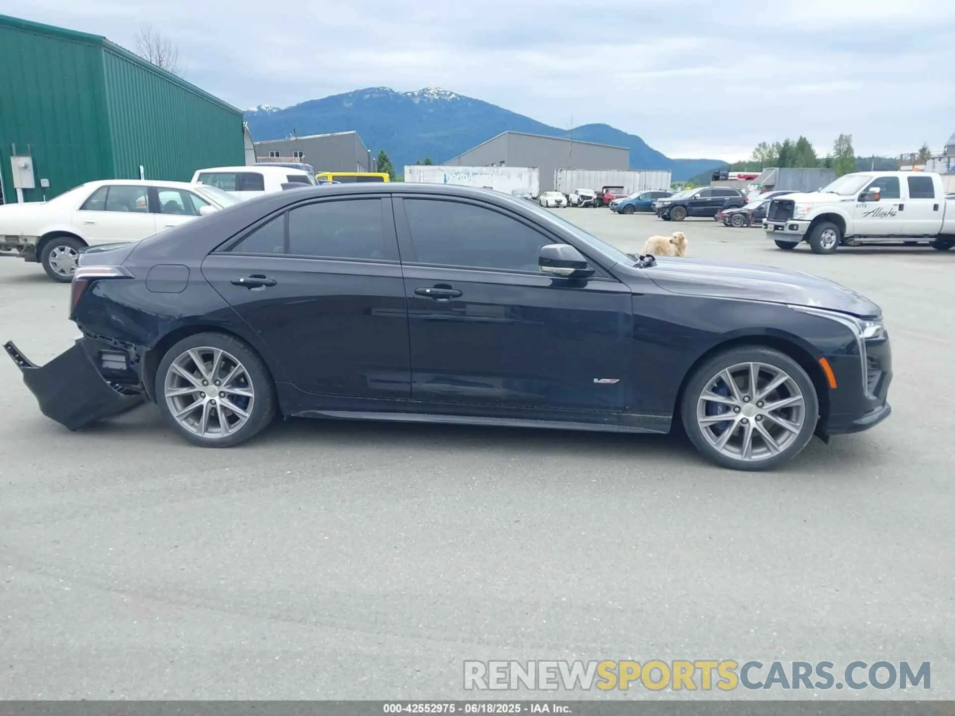 14 Photograph of a damaged car 1G6DH5RL0L0138164 CADILLAC CT4 2020