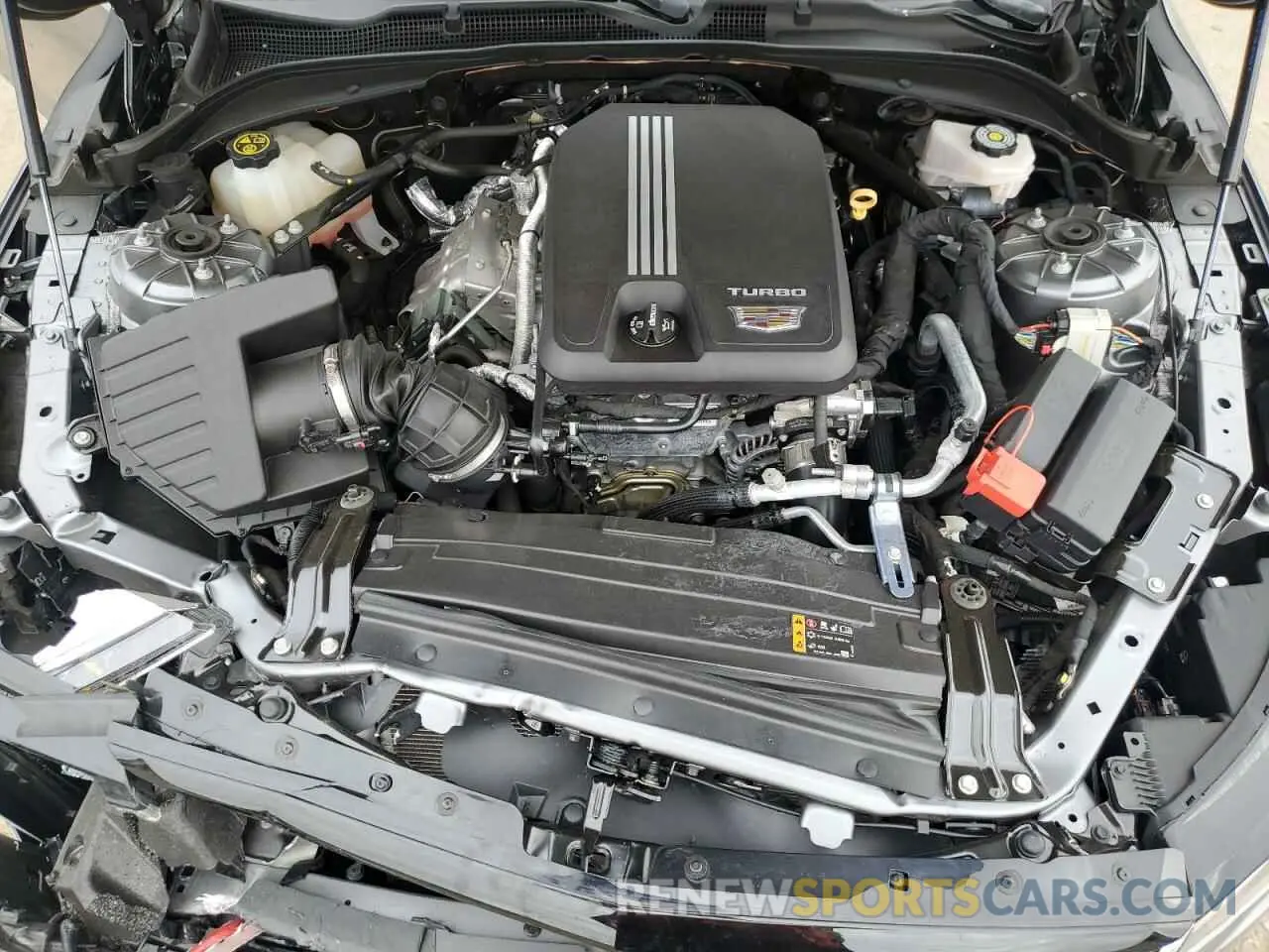 11 Photograph of a damaged car 1G6DJ5RK0L0153923 CADILLAC CT4 2020