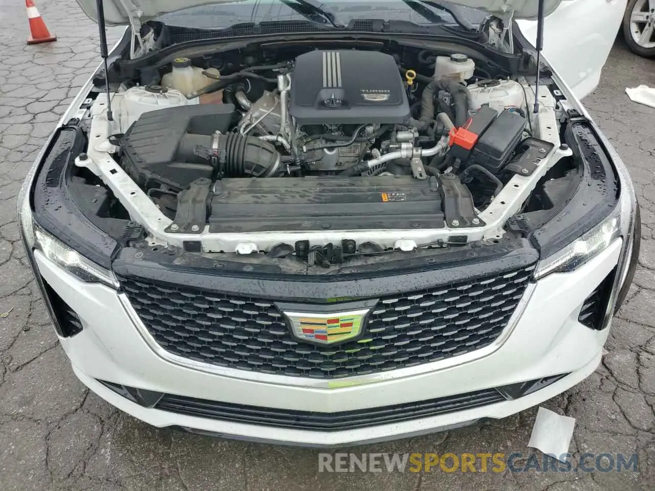 11 Photograph of a damaged car 1G6DJ5RKXL0154478 CADILLAC CT4 2020