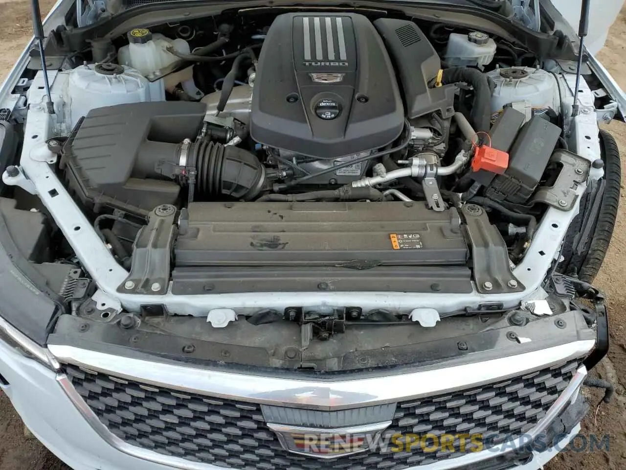 13 Photograph of a damaged car 1G6D55RLXM0143415 CADILLAC CT4 2021
