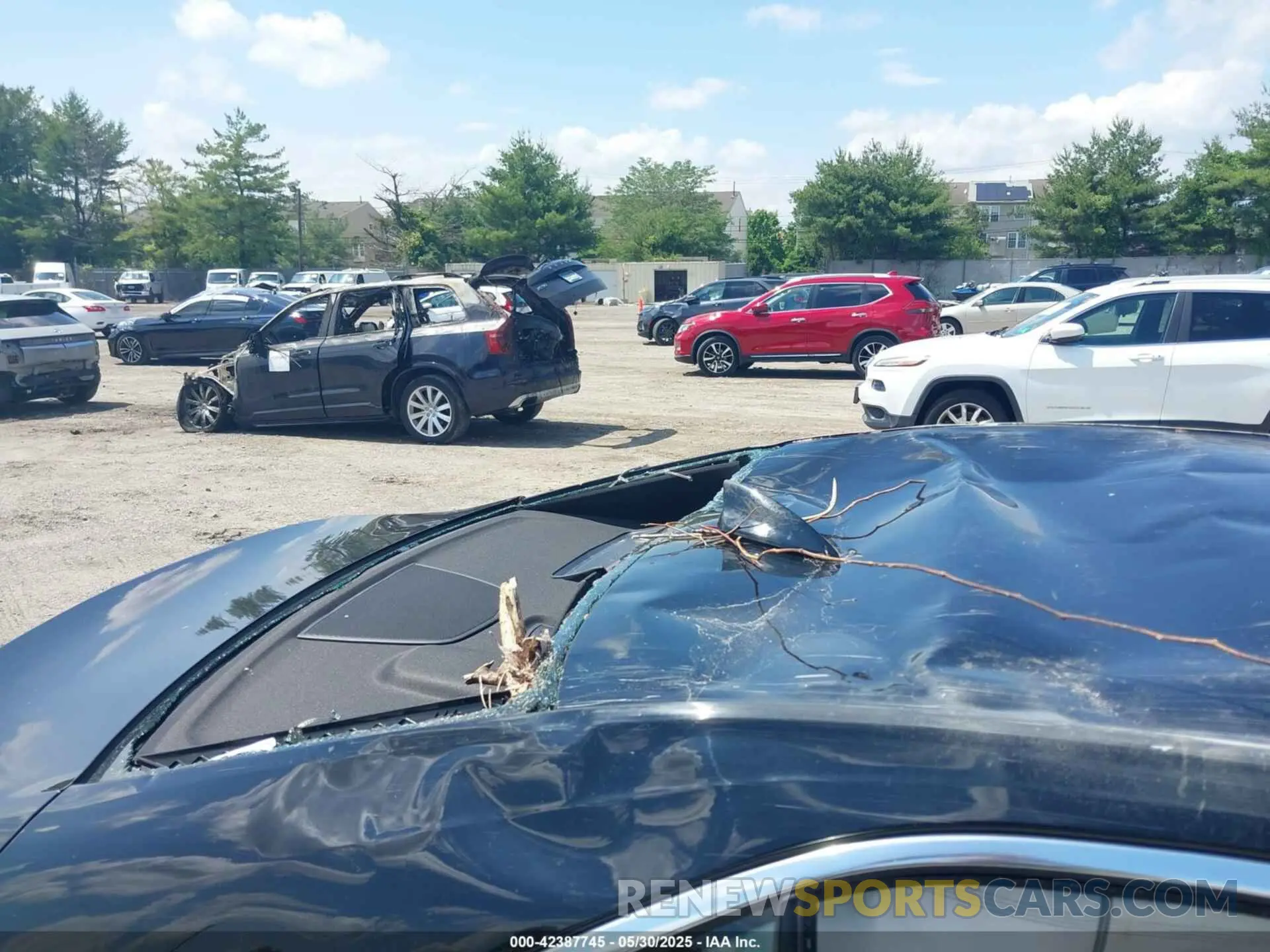 14 Photograph of a damaged car 1G6DA5RK1M0115585 CADILLAC CT4 2021