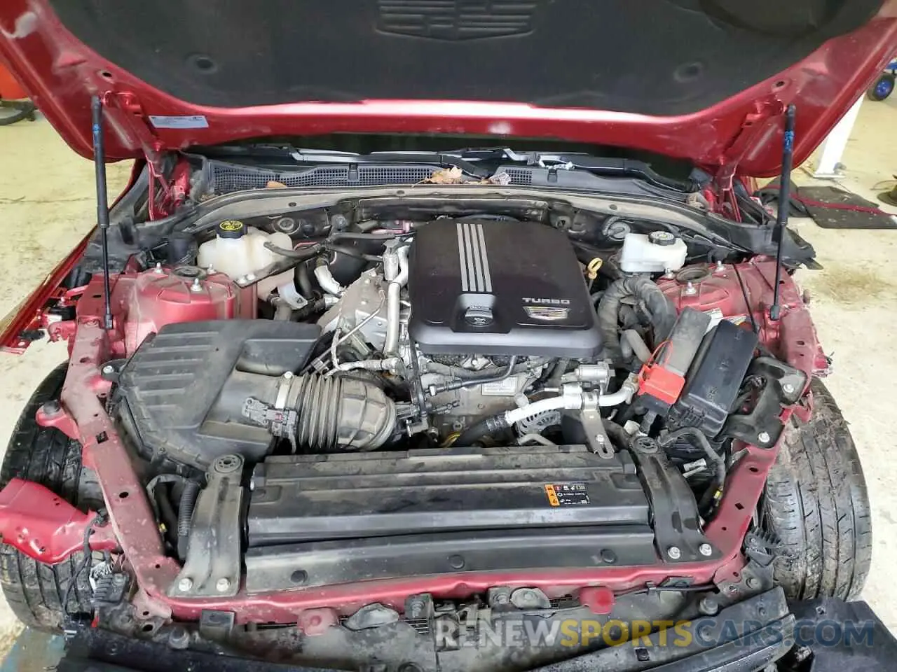 11 Photograph of a damaged car 1G6DA5RK2M0118446 CADILLAC CT4 2021