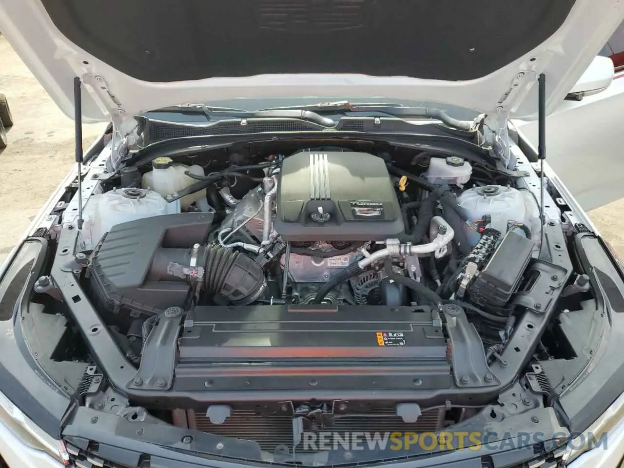 11 Photograph of a damaged car 1G6DB5RK0M0113954 CADILLAC CT4 2021