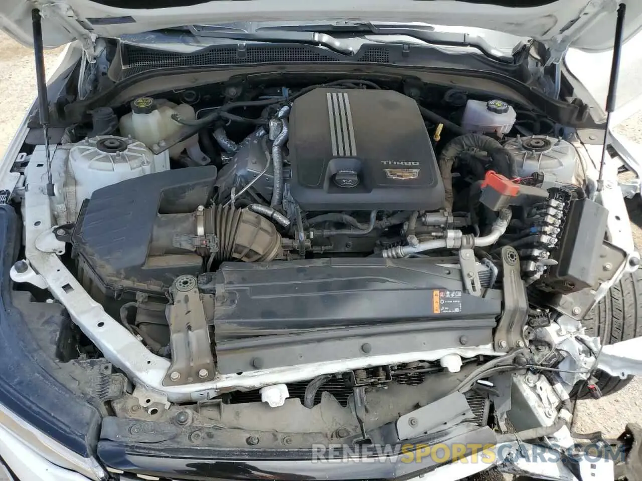 11 Photograph of a damaged car 1G6DB5RK0M0144203 CADILLAC CT4 2021