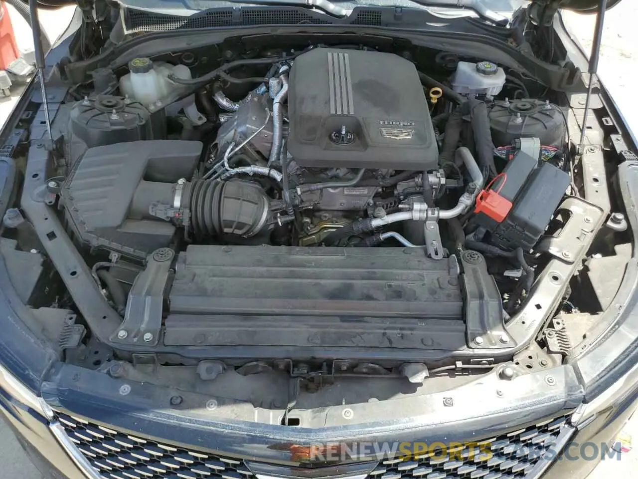 11 Photograph of a damaged car 1G6DB5RK6M0113750 CADILLAC CT4 2021