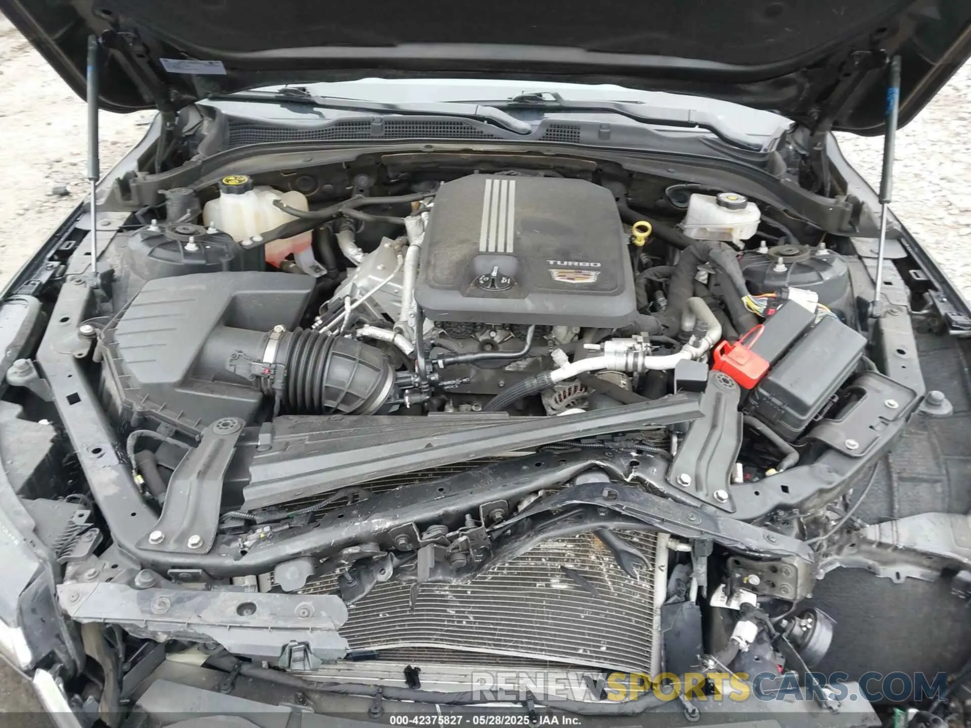 10 Photograph of a damaged car 1G6DE5RK5M0112872 CADILLAC CT4 2021