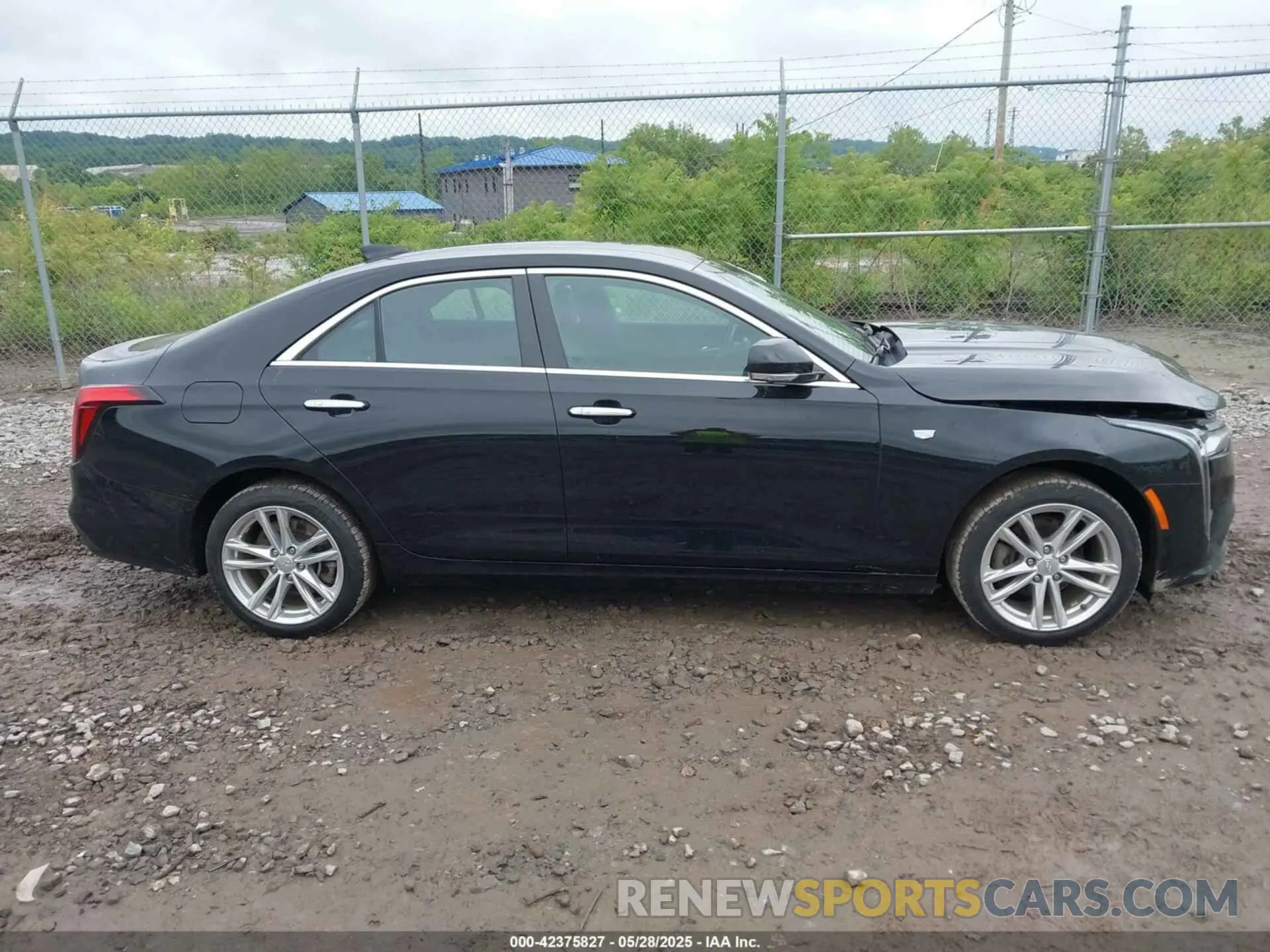 13 Photograph of a damaged car 1G6DE5RK5M0112872 CADILLAC CT4 2021