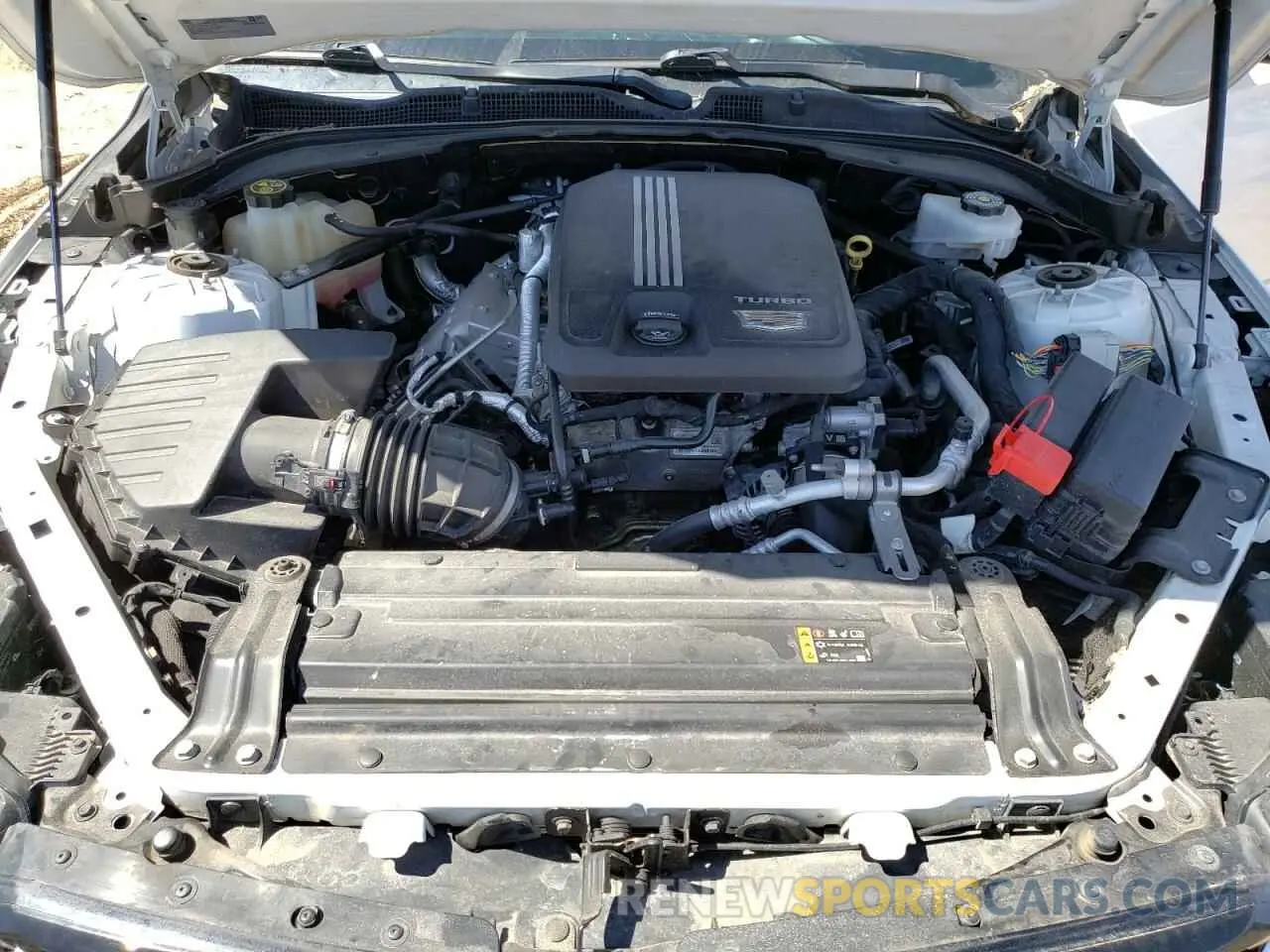 11 Photograph of a damaged car 1G6DF5RK2M0134809 CADILLAC CT4 2021