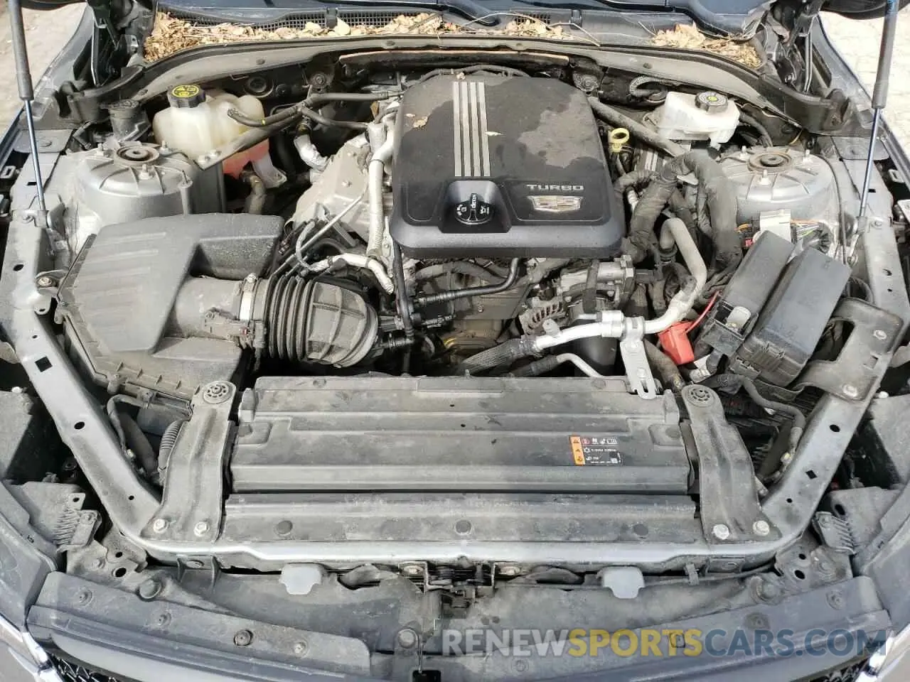 11 Photograph of a damaged car 1G6DG5RK5M0105737 CADILLAC CT4 2021