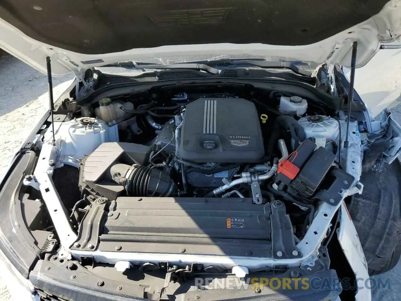 11 Photograph of a damaged car 1G6DJ5RK7N0136507 CADILLAC CT4 2022