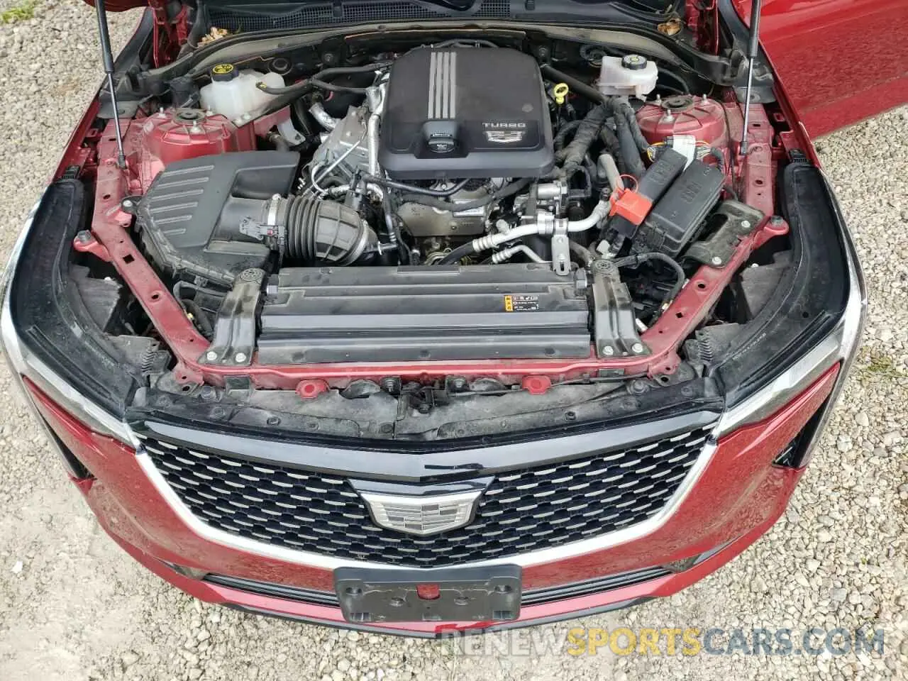11 Photograph of a damaged car 1G6DK5RK6N0122286 CADILLAC CT4 2022