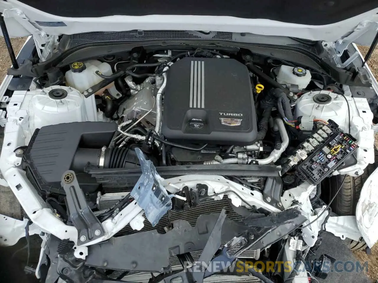 11 Photograph of a damaged car 1G6DA5RK0P0157878 CADILLAC CT4 2023