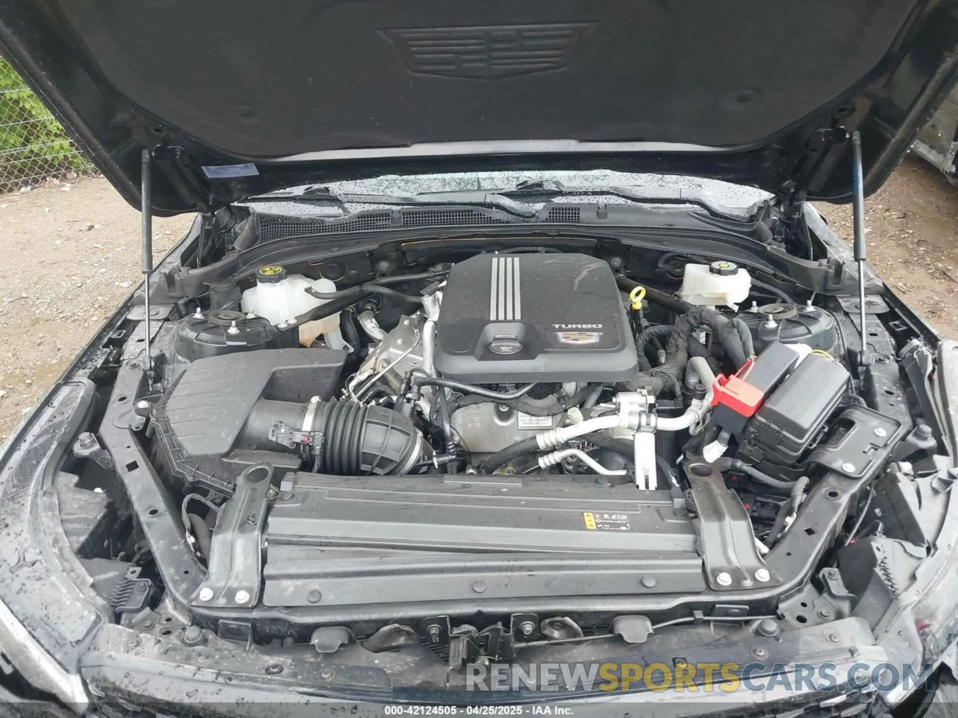 10 Photograph of a damaged car 1G6DF5RK5P0109147 CADILLAC CT4 2023