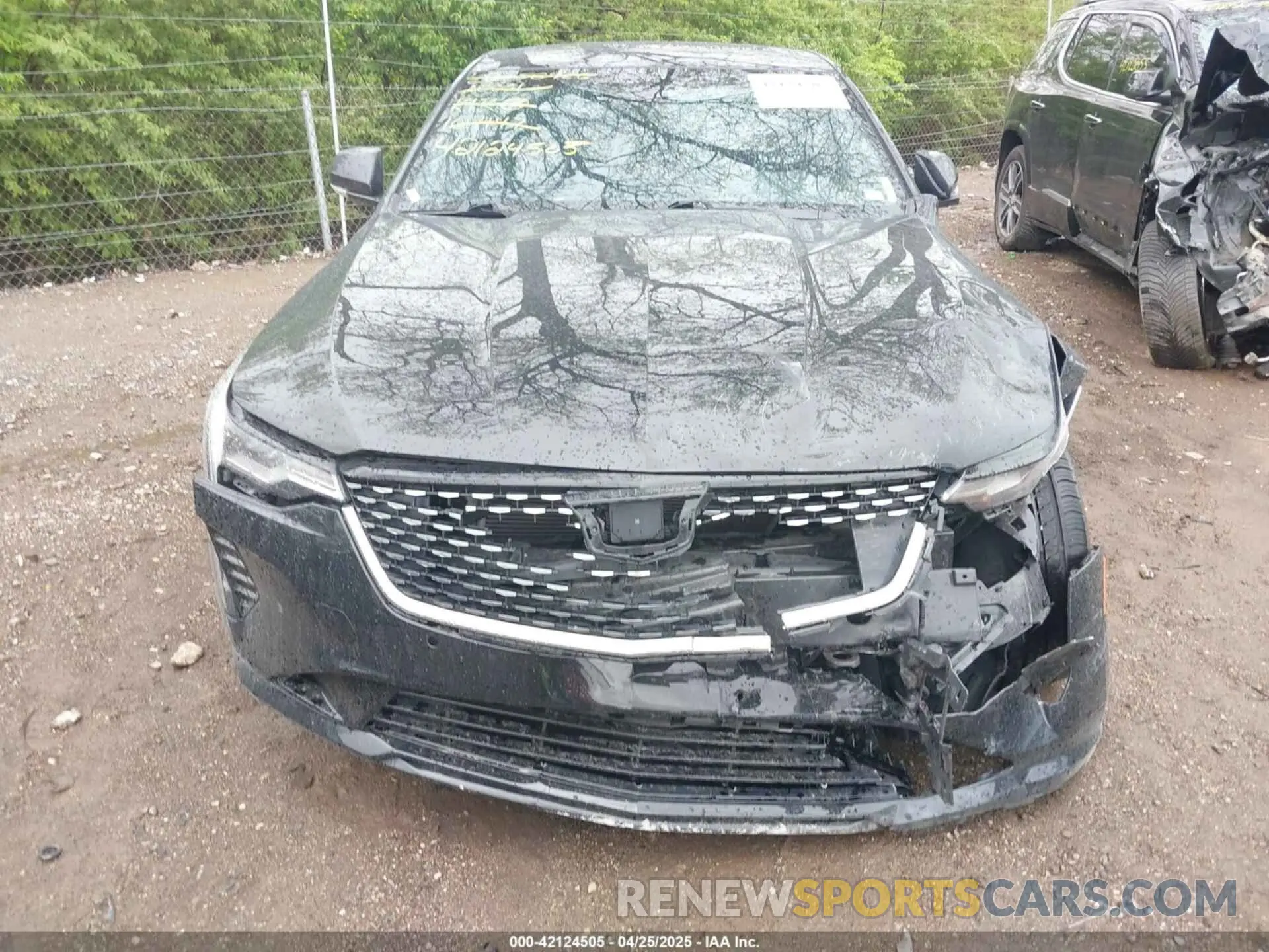 12 Photograph of a damaged car 1G6DF5RK5P0109147 CADILLAC CT4 2023