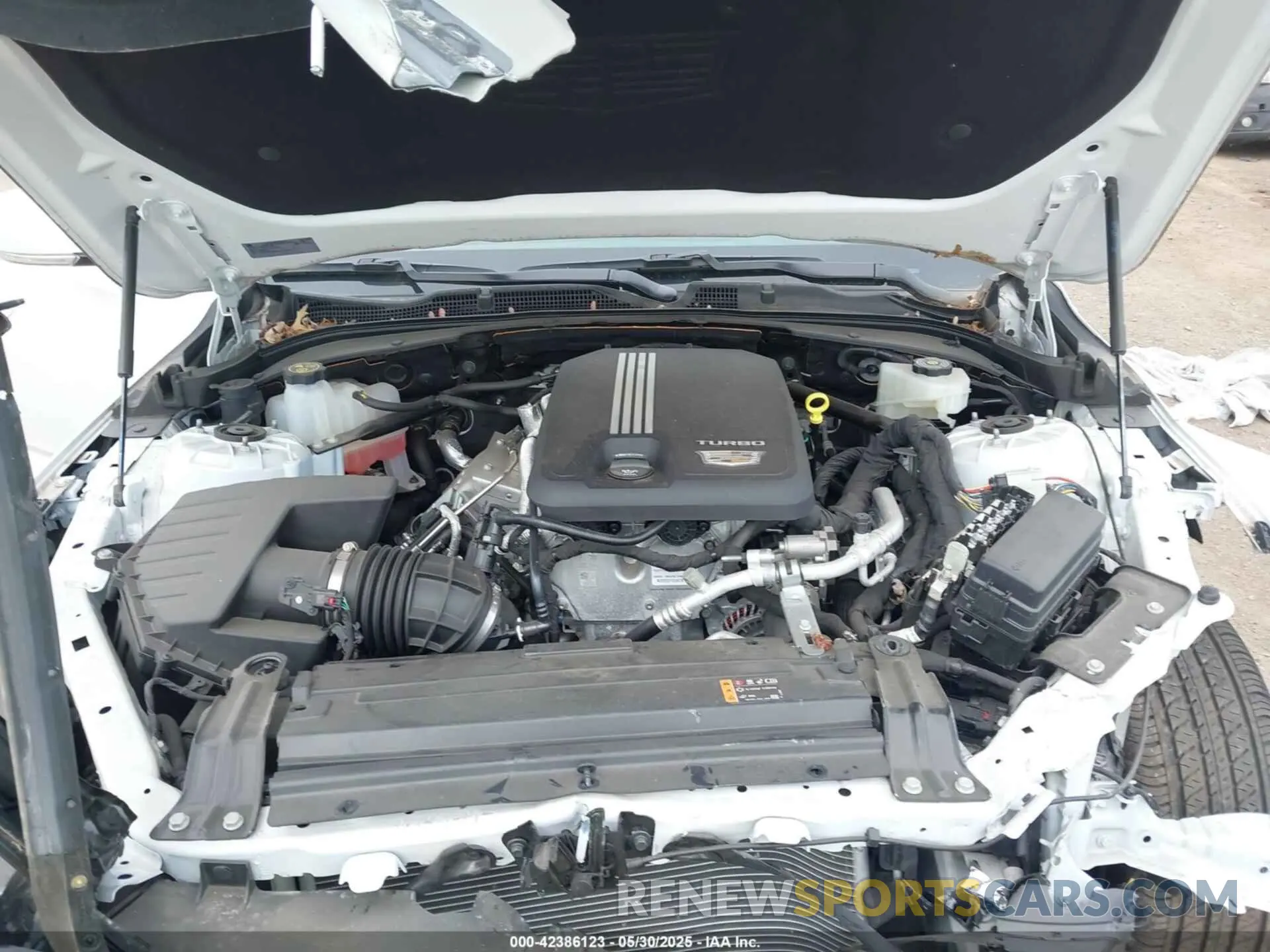 10 Photograph of a damaged car 1G6DK5RK2P0108016 CADILLAC CT4 2023