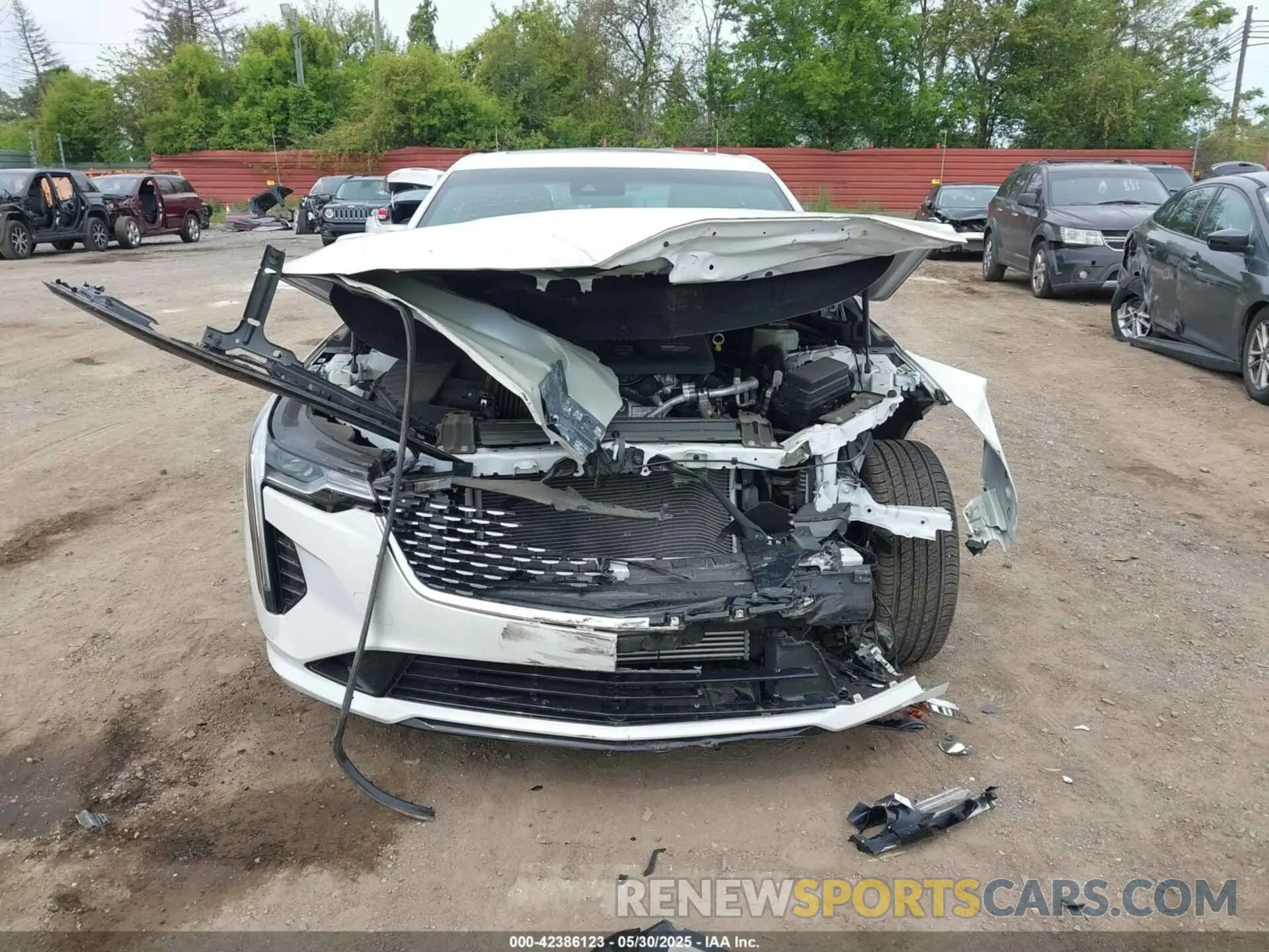 11 Photograph of a damaged car 1G6DK5RK2P0108016 CADILLAC CT4 2023