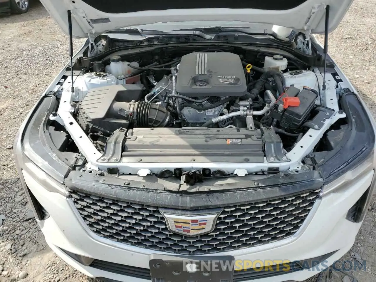 12 Photograph of a damaged car 1G6DA5RK7R0125027 CADILLAC CT4 2024