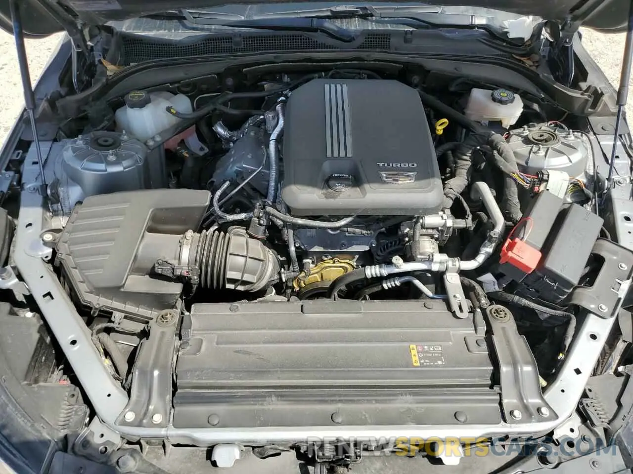 11 Photograph of a damaged car 1G6DJ5RK7R0118076 CADILLAC CT4 2024