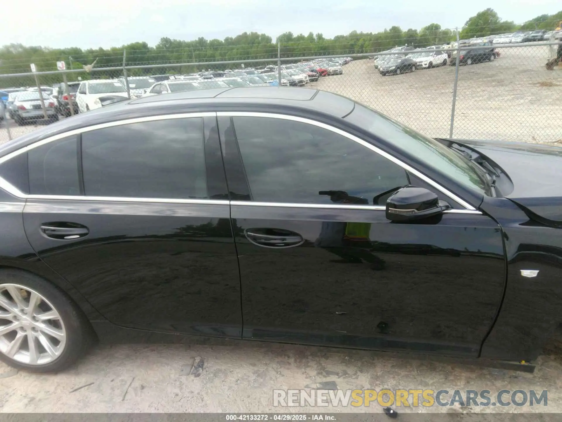 13 Photograph of a damaged car 1G6DM5RK4L0100133 CADILLAC CT5 2020