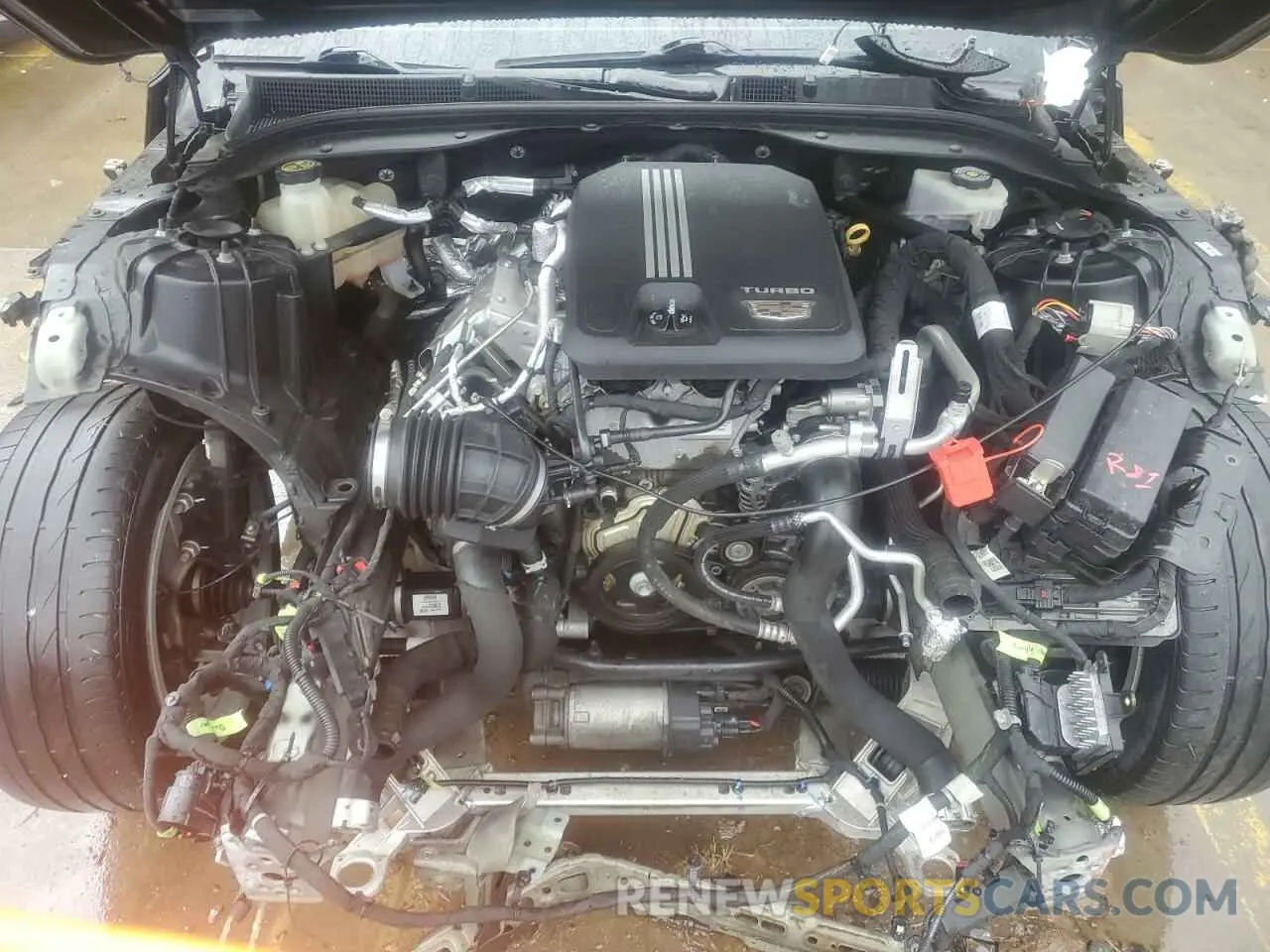 12 Photograph of a damaged car 1G6DS5RK7L0117630 CADILLAC CT5 2020