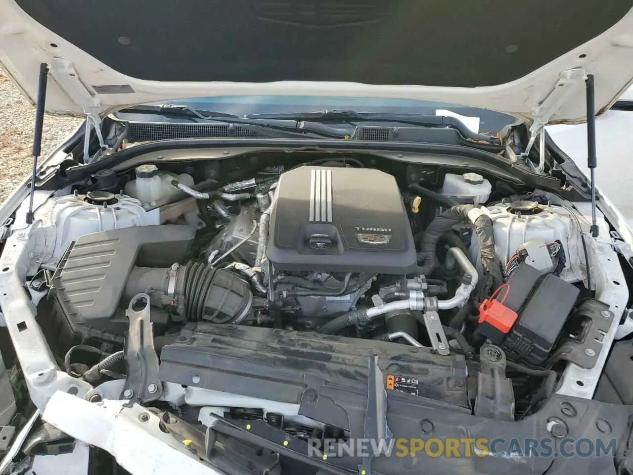 11 Photograph of a damaged car 1G6DN5RK2M0125904 CADILLAC CT5 2021