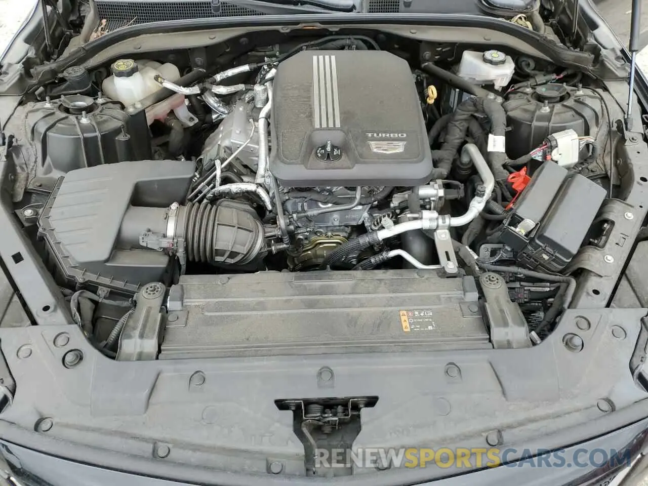 11 Photograph of a damaged car 1G6DP5RK4M0116521 CADILLAC CT5 2021