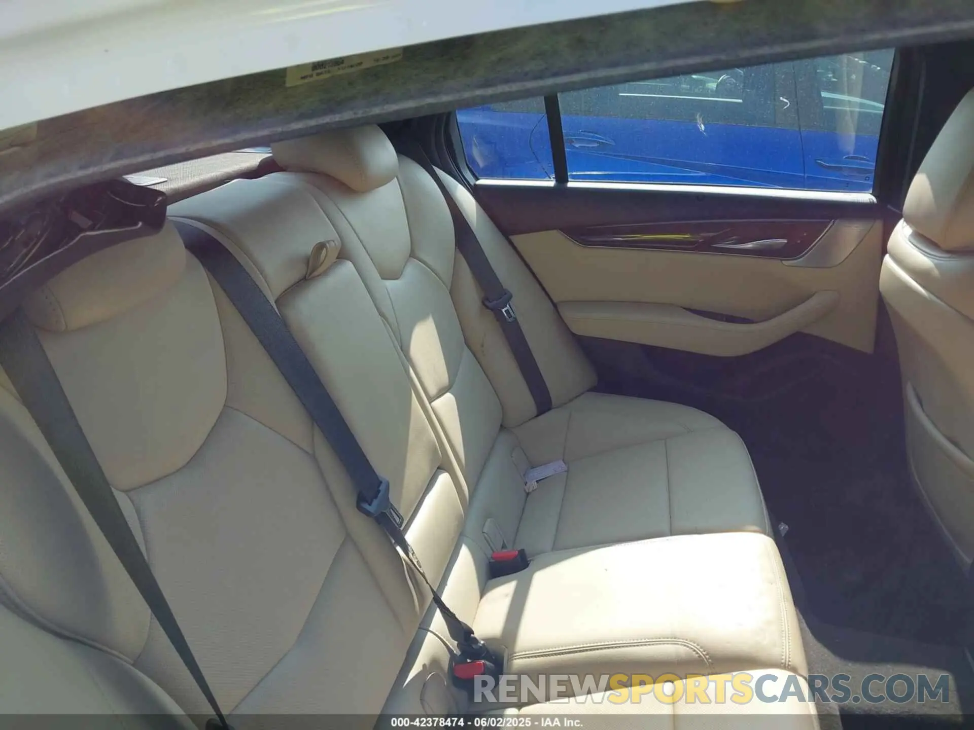 8 Photograph of a damaged car 1G6DT5RKXM0119662 CADILLAC CT5 2021