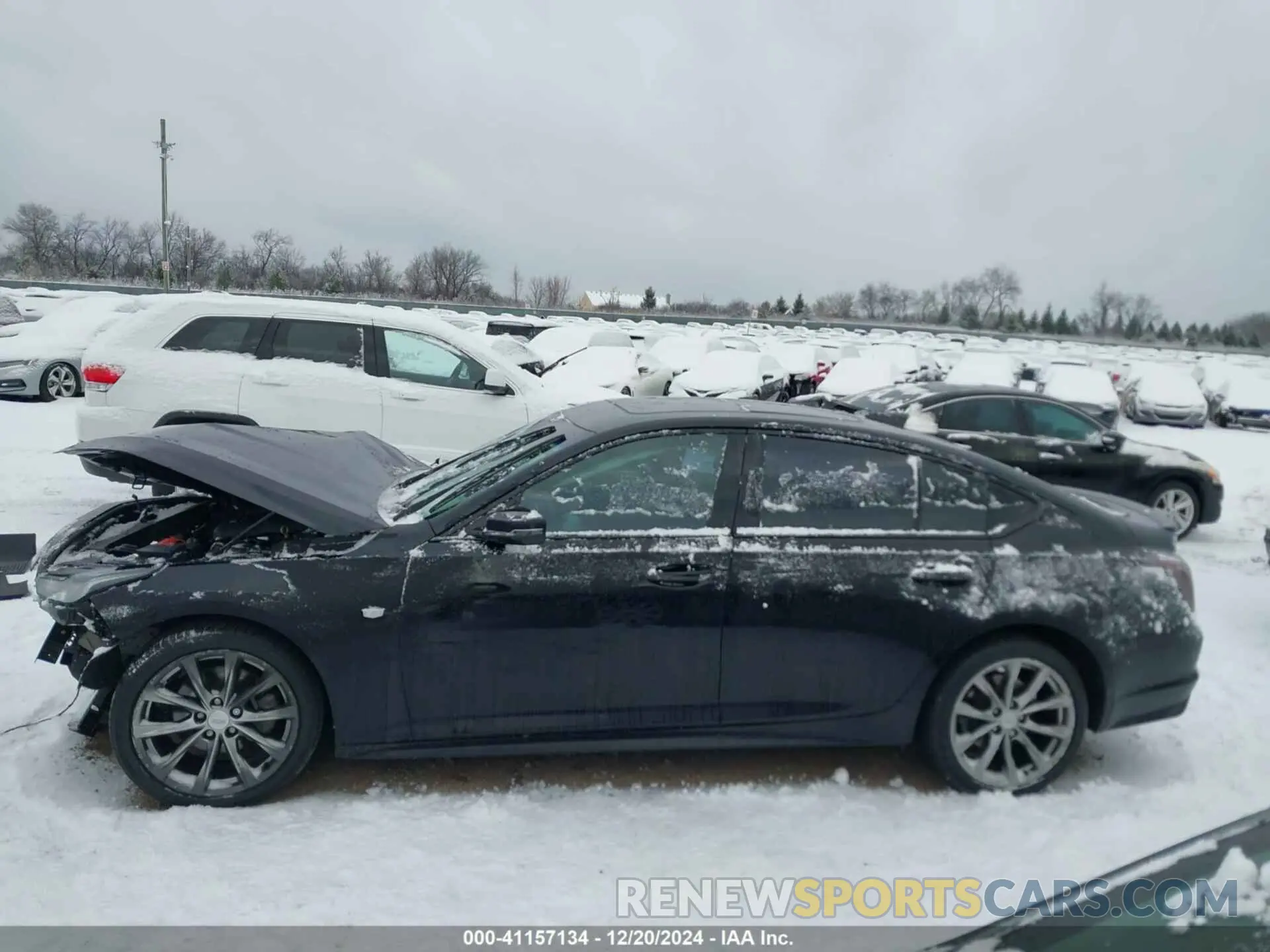 14 Photograph of a damaged car 1G6DU5RK1M0135455 CADILLAC CT5 2021