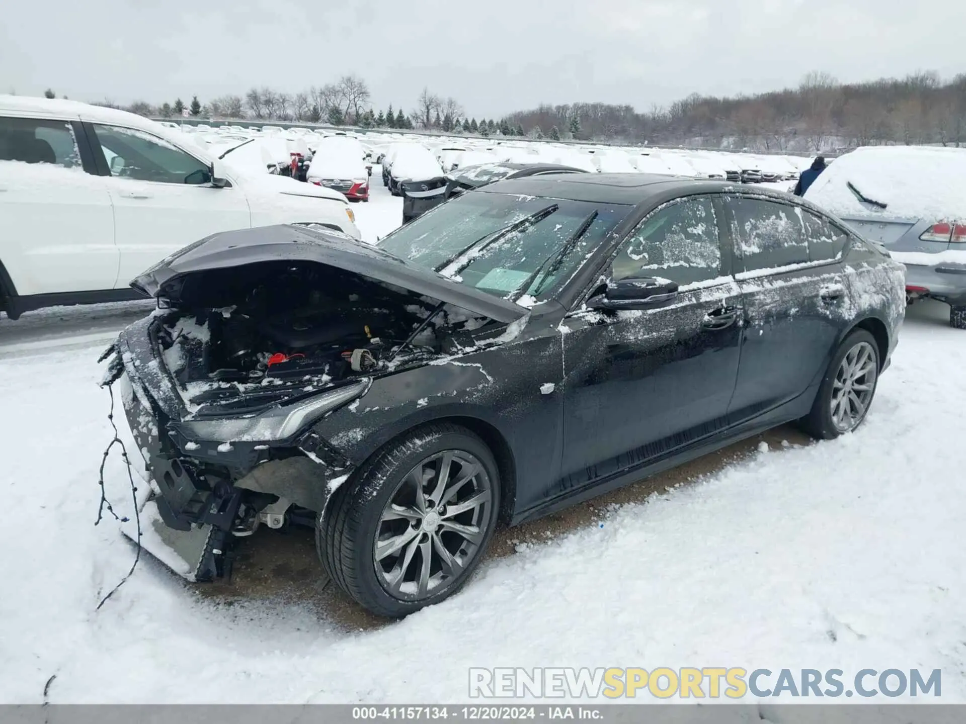 2 Photograph of a damaged car 1G6DU5RK1M0135455 CADILLAC CT5 2021