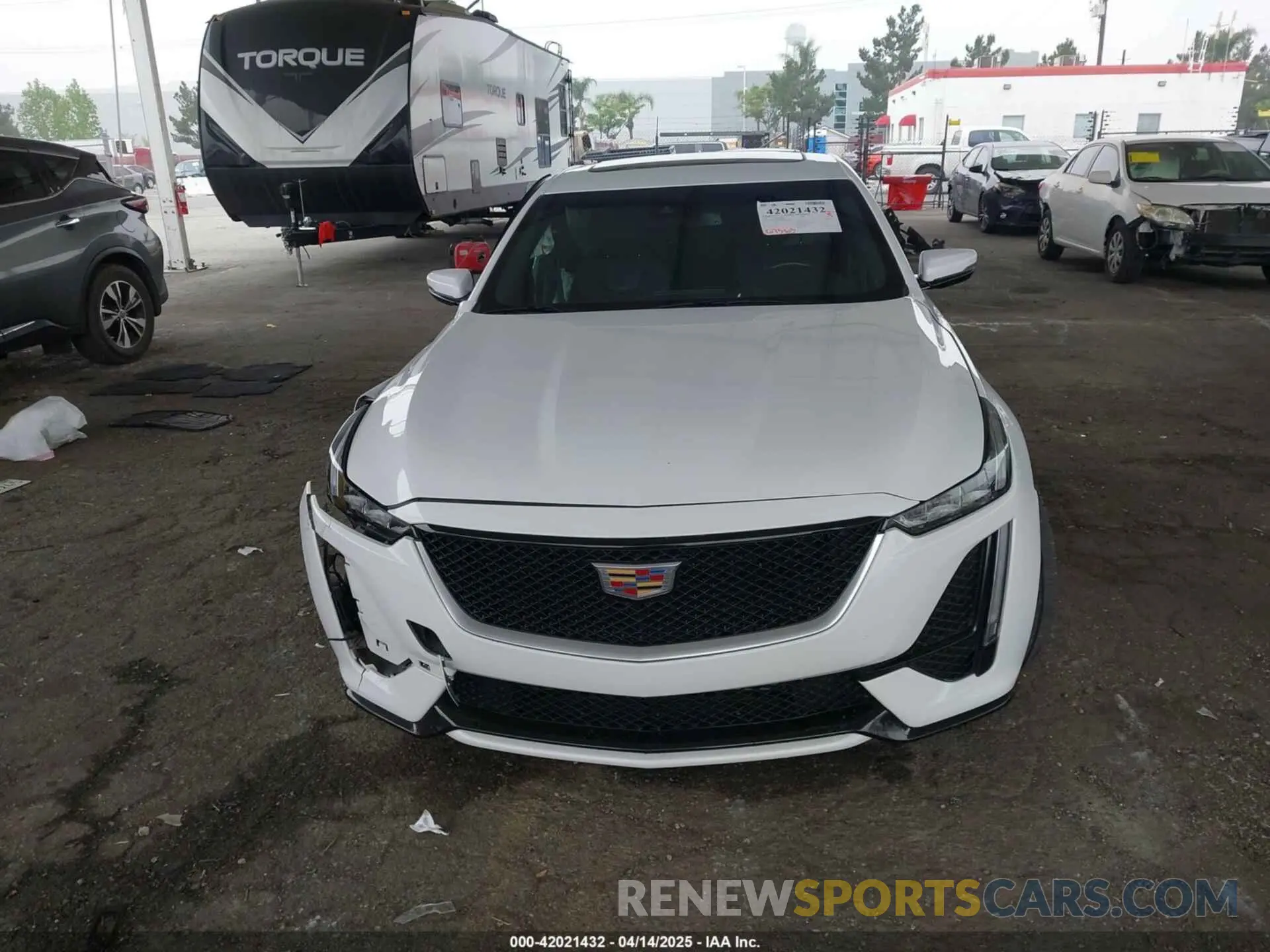 12 Photograph of a damaged car 1G6DU5RK9M0117981 CADILLAC CT5 2021