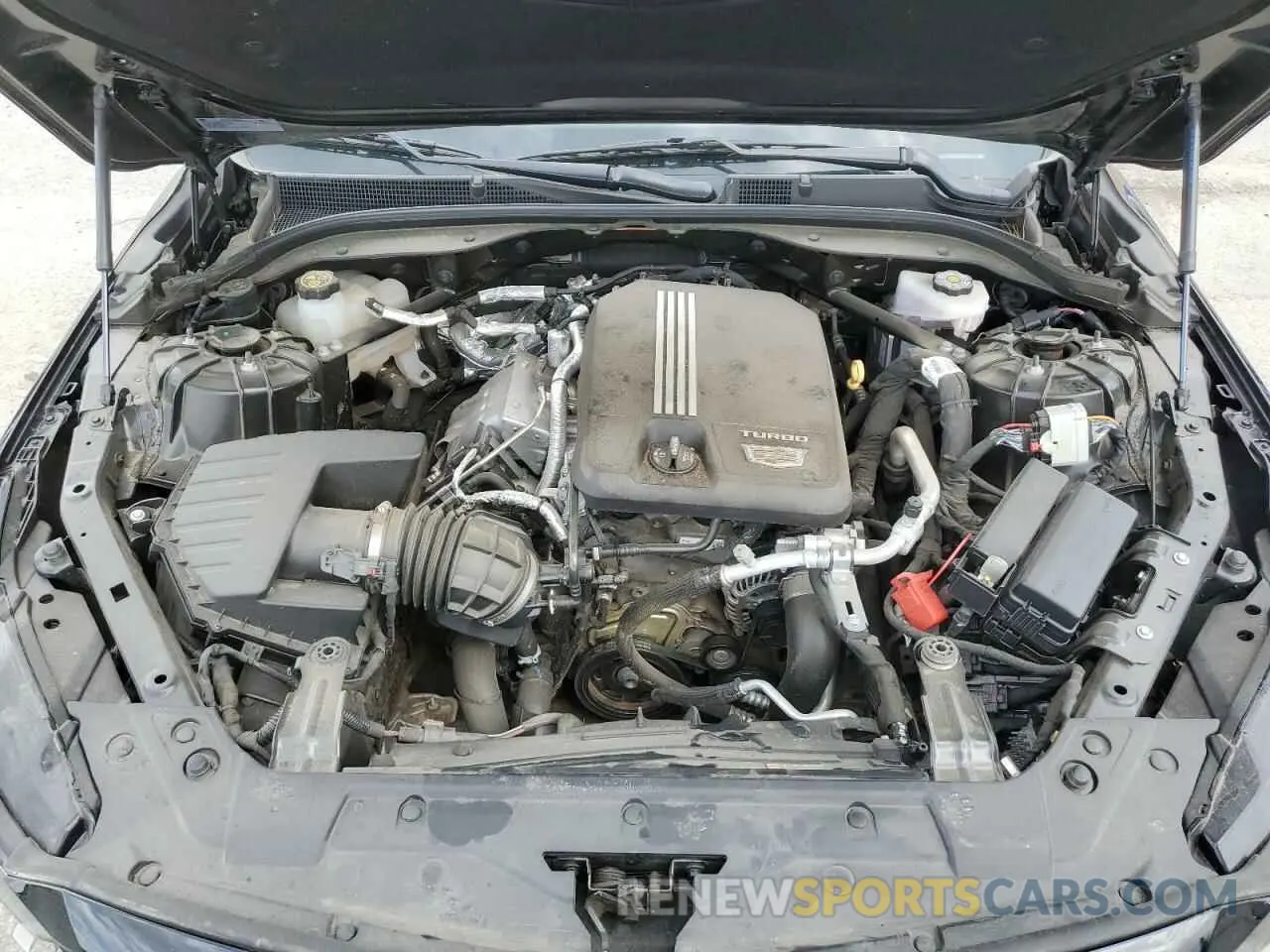 11 Photograph of a damaged car 1G6DW5RK2M0112664 CADILLAC CT5 2021