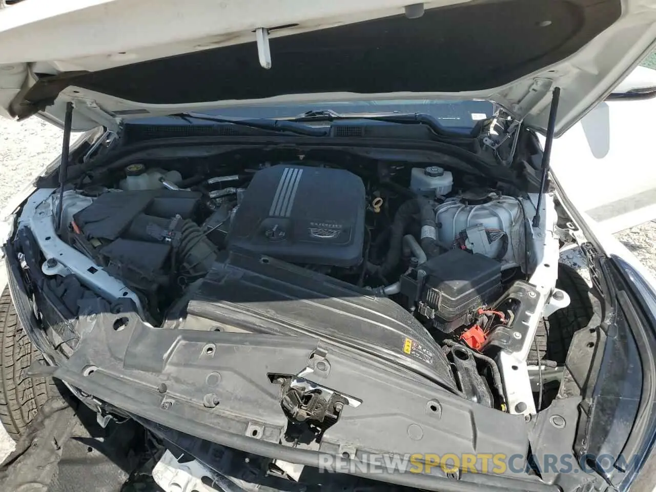 11 Photograph of a damaged car 1G6DW5RKXM0112301 CADILLAC CT5 2021