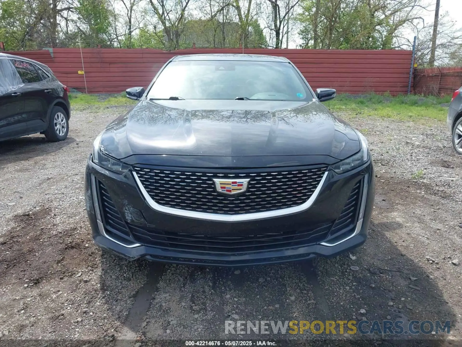 12 Photograph of a damaged car 1G6DX5RKXM0146235 CADILLAC CT5 2021