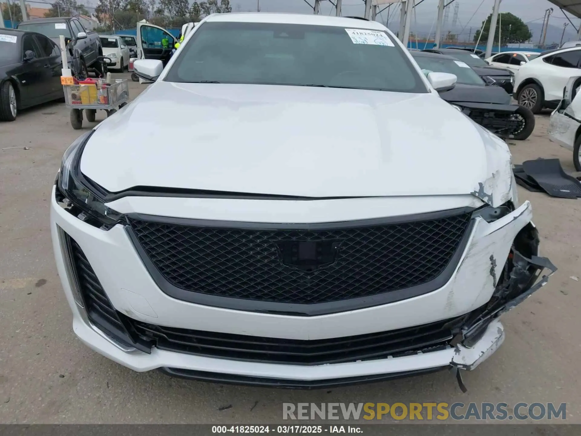 13 Photograph of a damaged car 1G6DM5RK6N0136036 CADILLAC CT5 2022