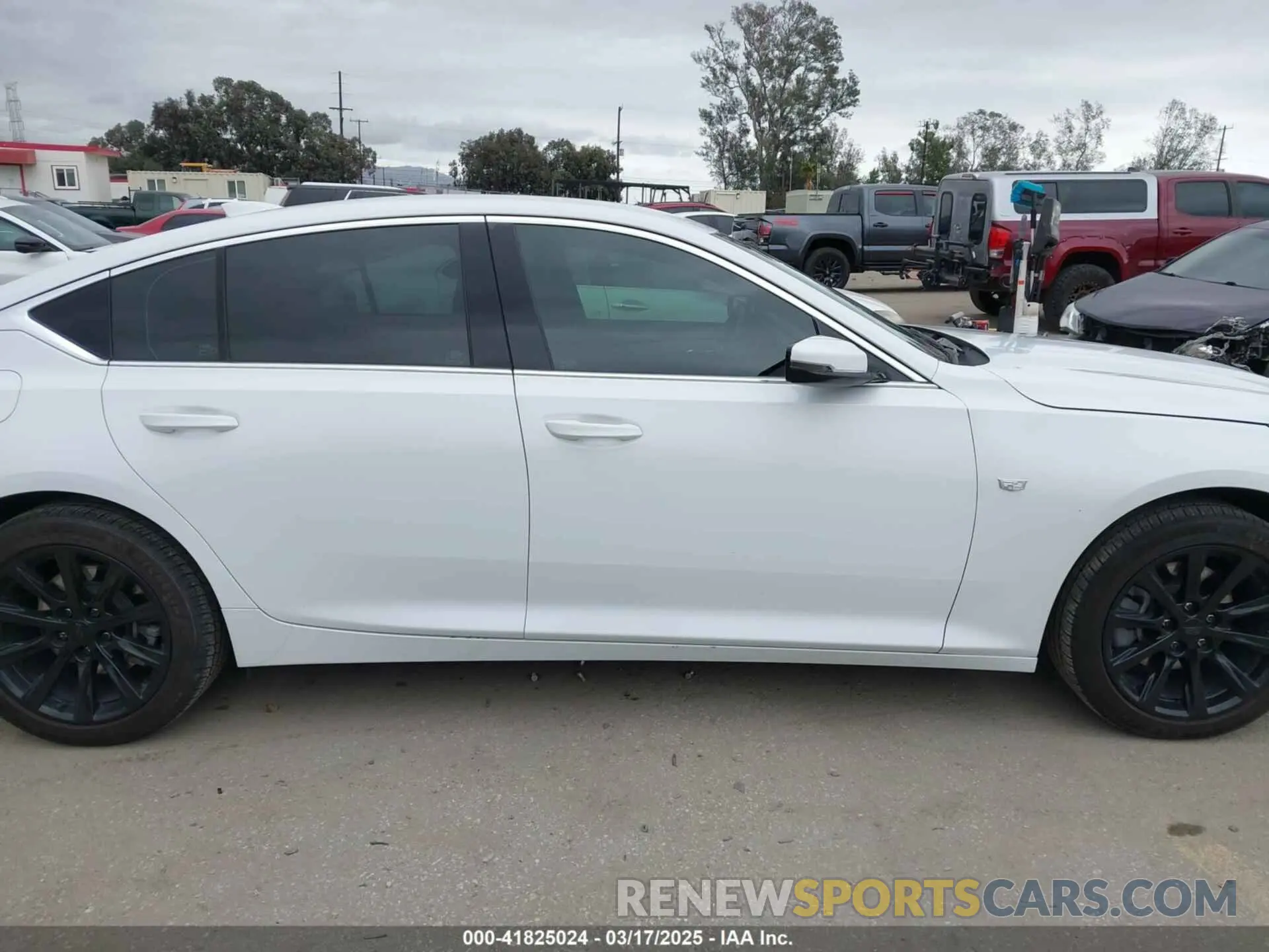 14 Photograph of a damaged car 1G6DM5RK6N0136036 CADILLAC CT5 2022