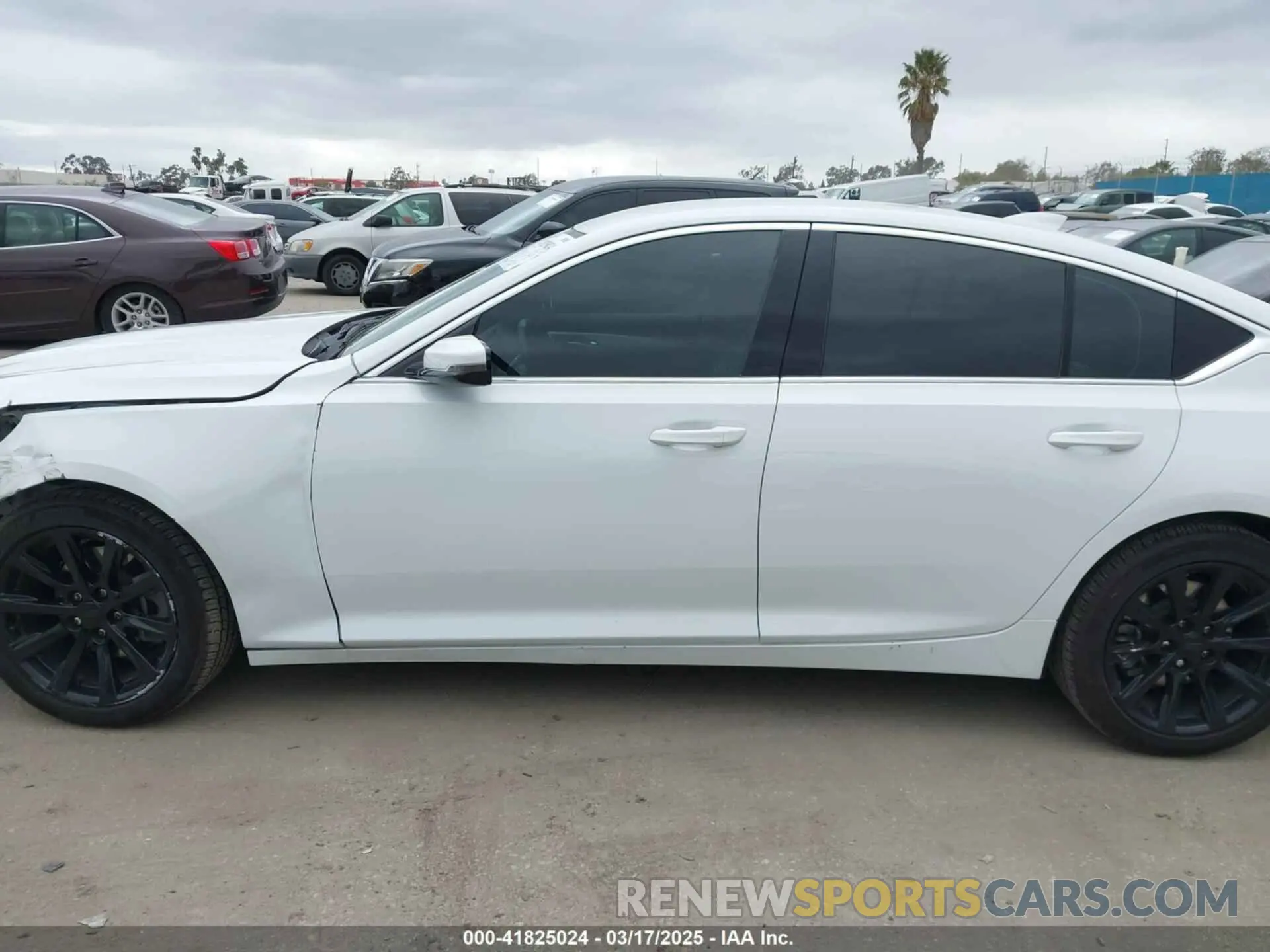 15 Photograph of a damaged car 1G6DM5RK6N0136036 CADILLAC CT5 2022