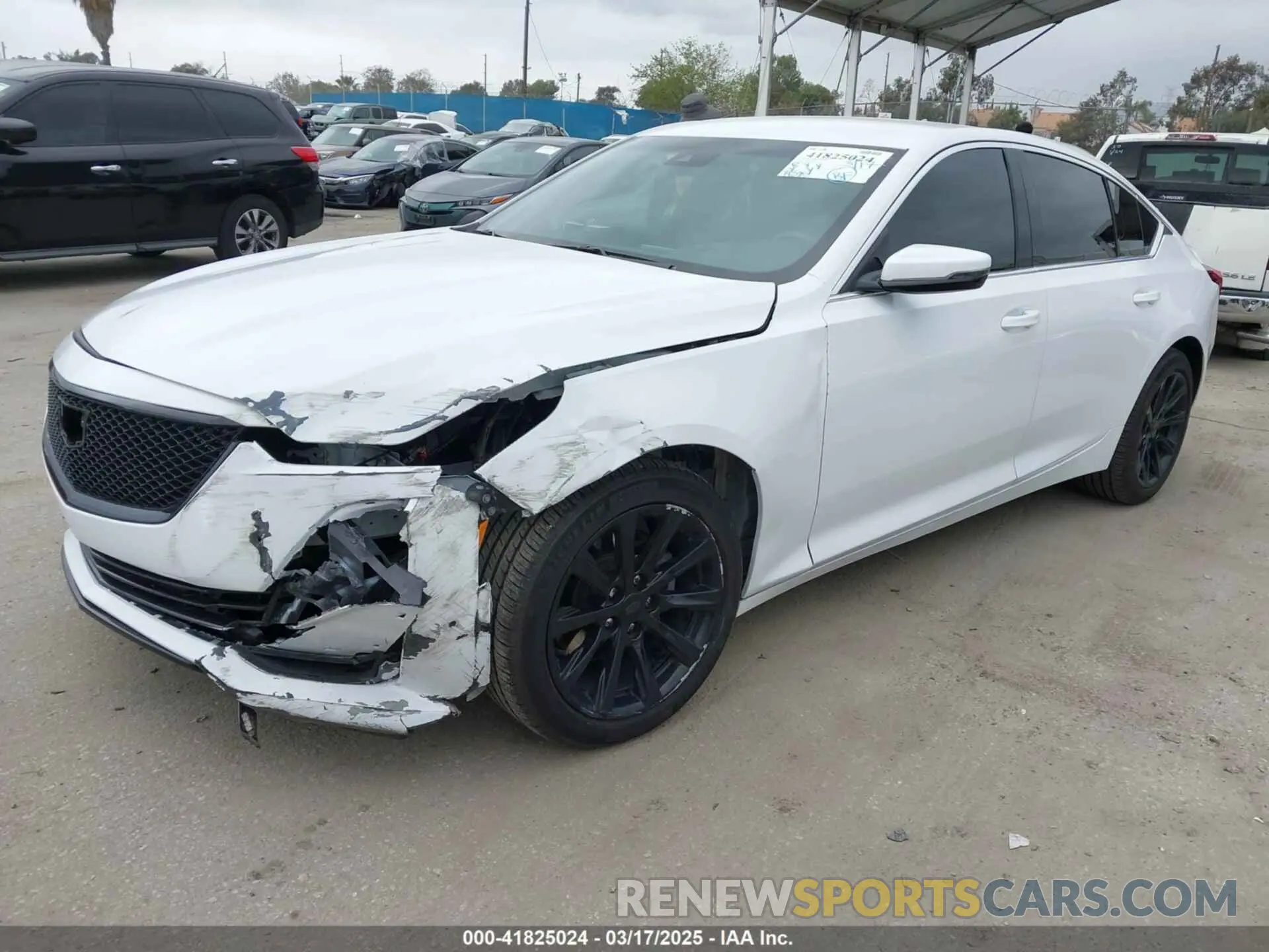 2 Photograph of a damaged car 1G6DM5RK6N0136036 CADILLAC CT5 2022