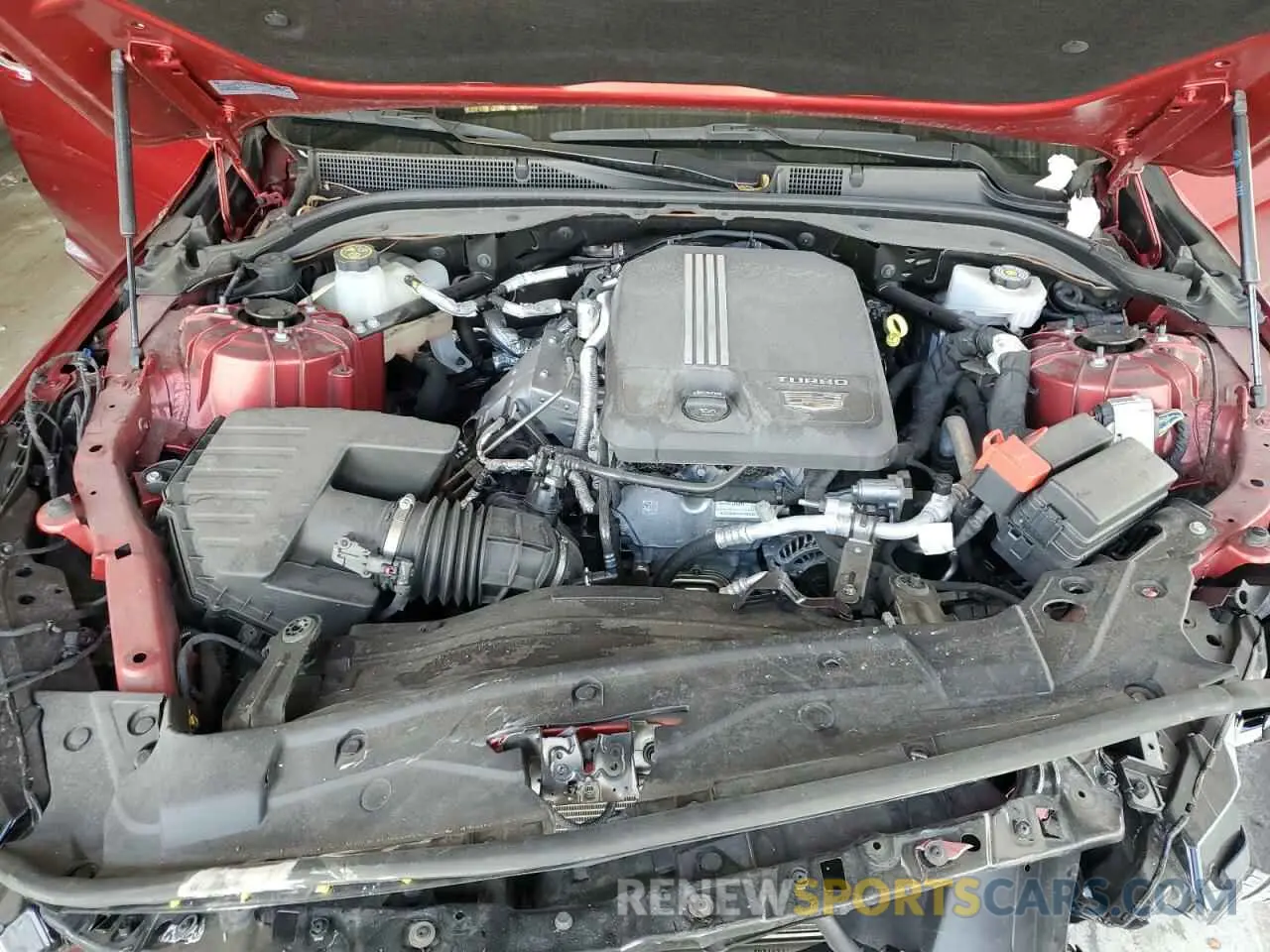 11 Photograph of a damaged car 1G6DN5RK6N0115653 CADILLAC CT5 2022