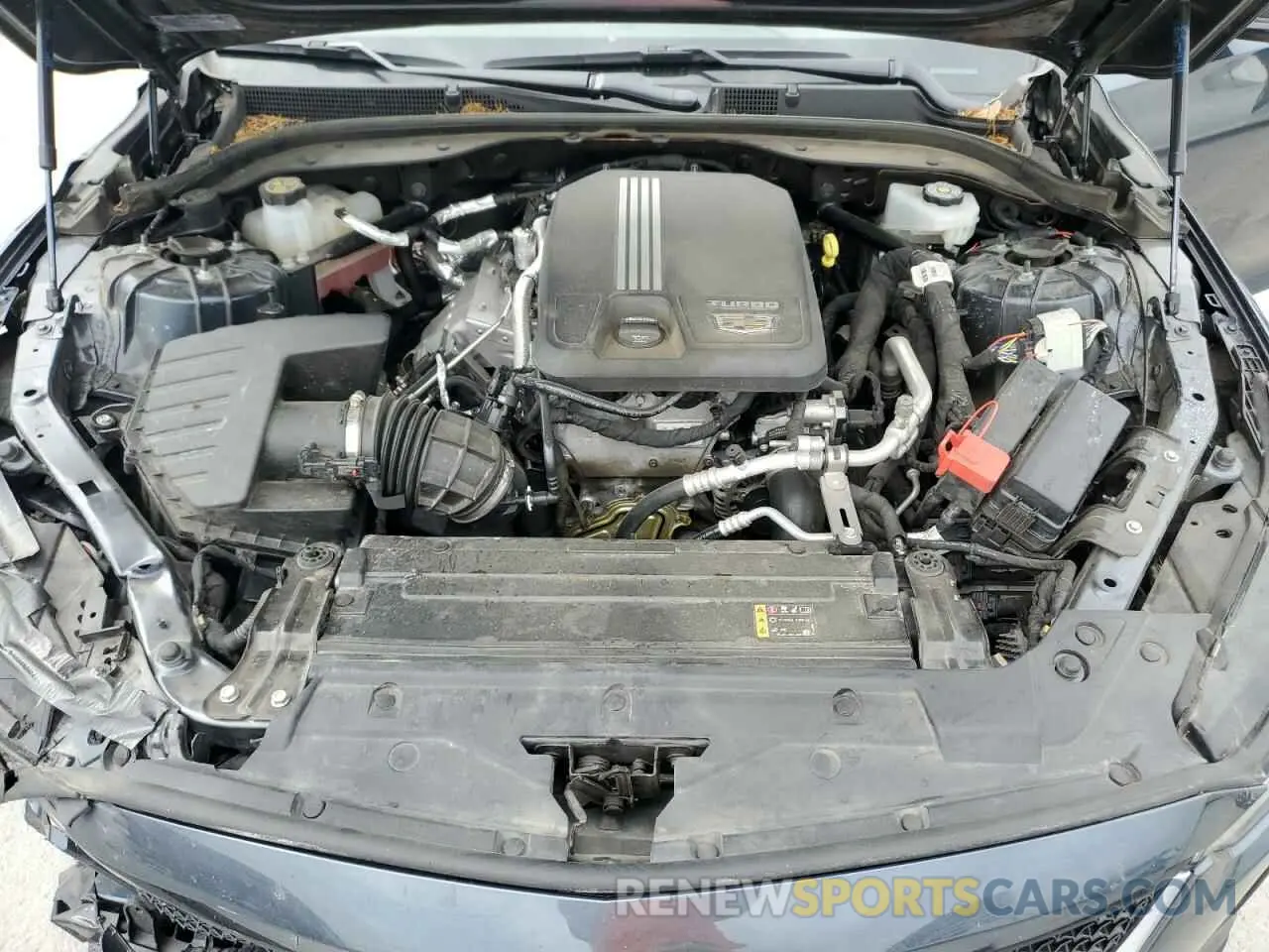 11 Photograph of a damaged car 1G6DU5RK3N0136141 CADILLAC CT5 2022