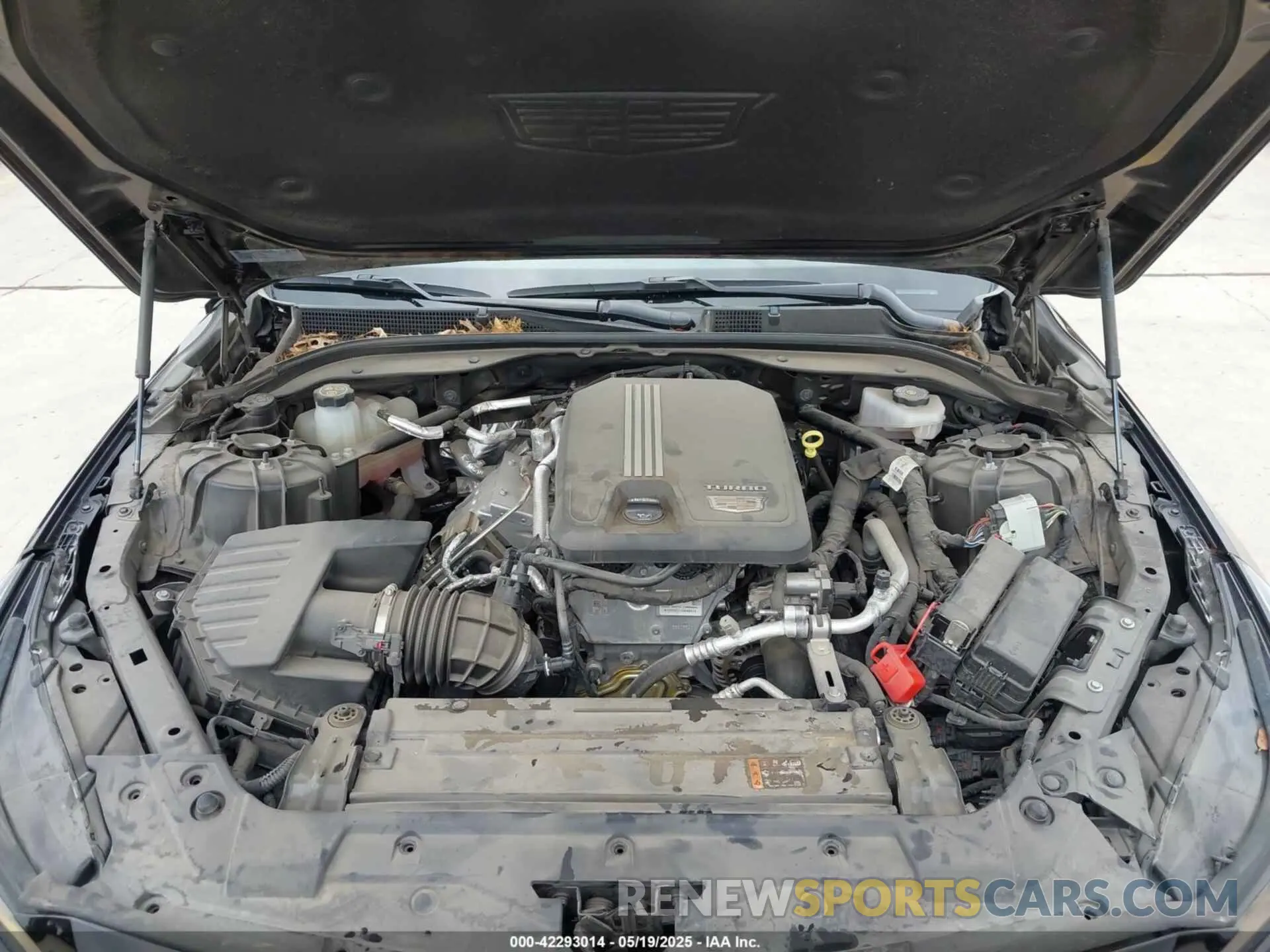 10 Photograph of a damaged car 1G6DN5RK7P0119990 CADILLAC CT5 2023