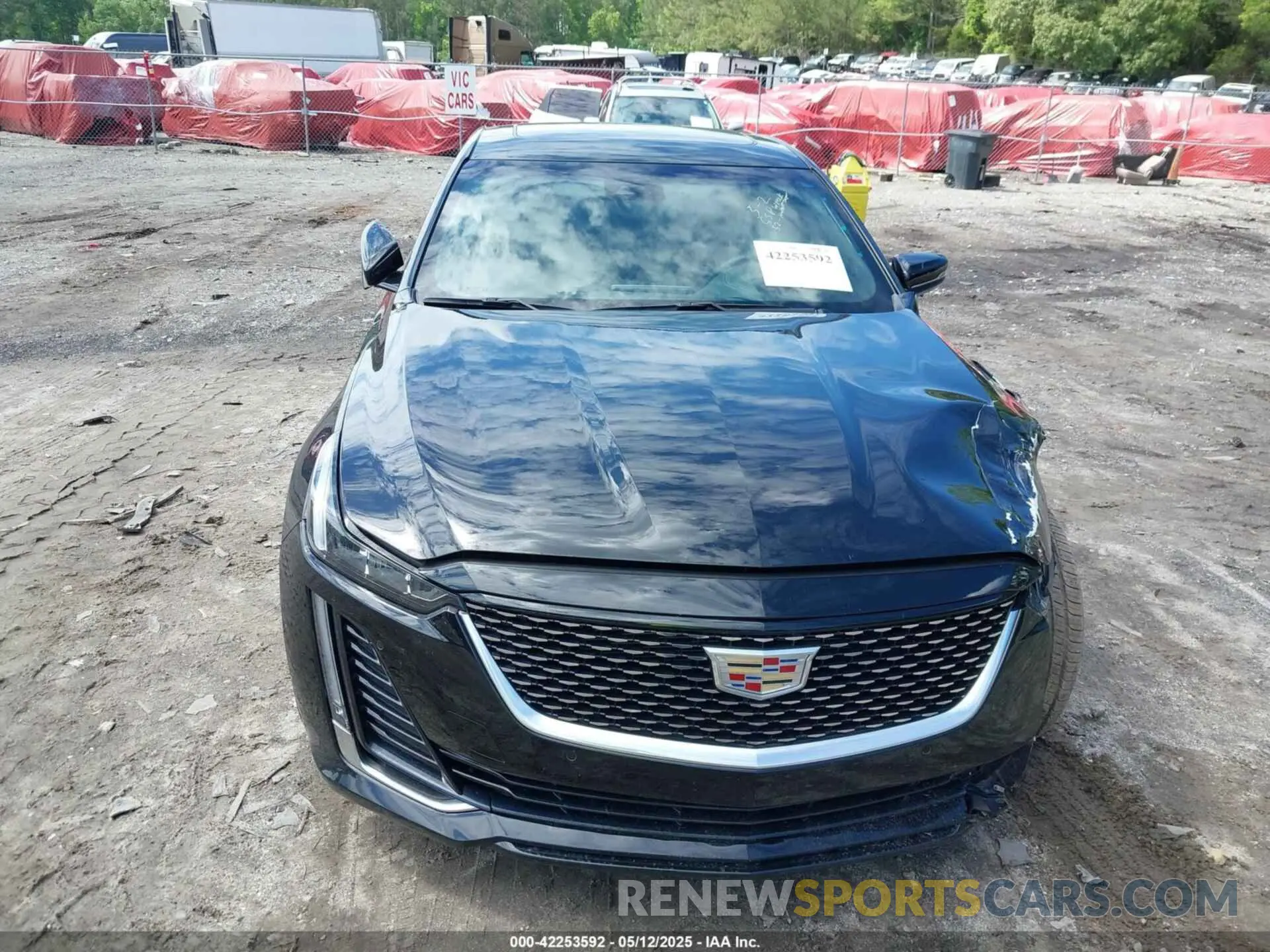 12 Photograph of a damaged car 1G6DN5RW4P0105306 CADILLAC CT5 2023