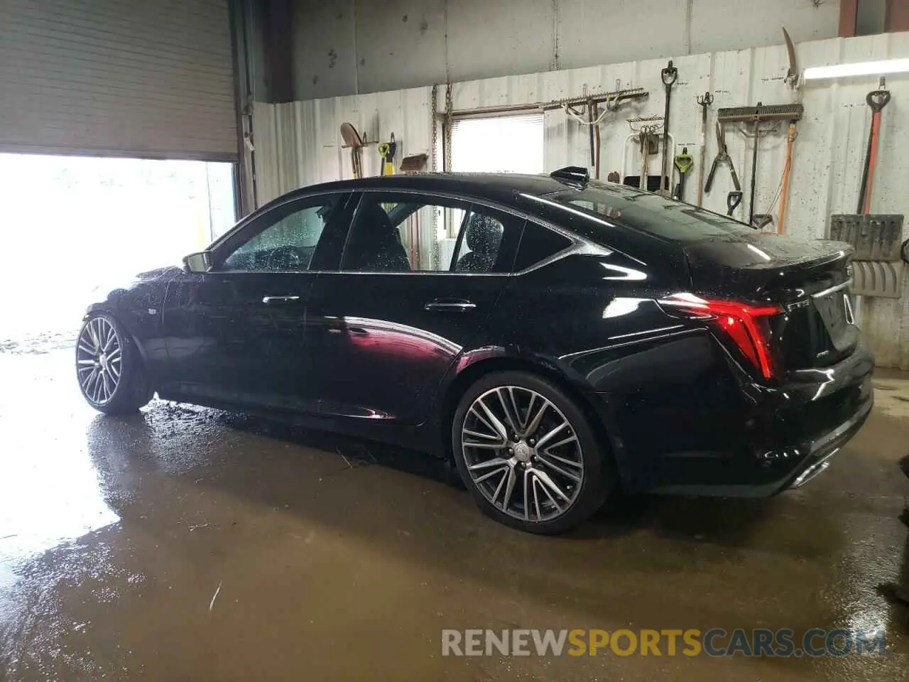 2 Photograph of a damaged car 1G6DS5RW5P0104481 CADILLAC CT5 2023