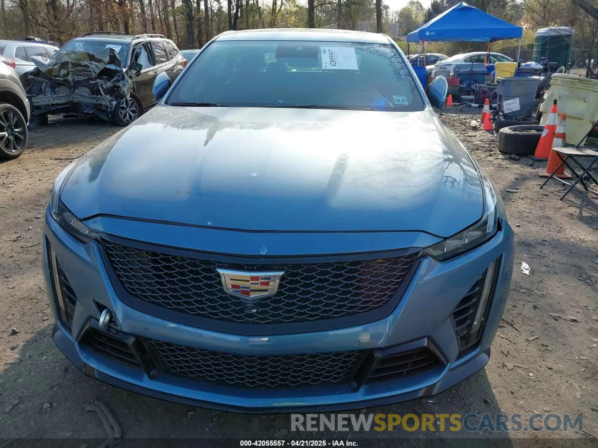 12 Photograph of a damaged car 1G6DN5RK9R0121243 CADILLAC CT5 2024